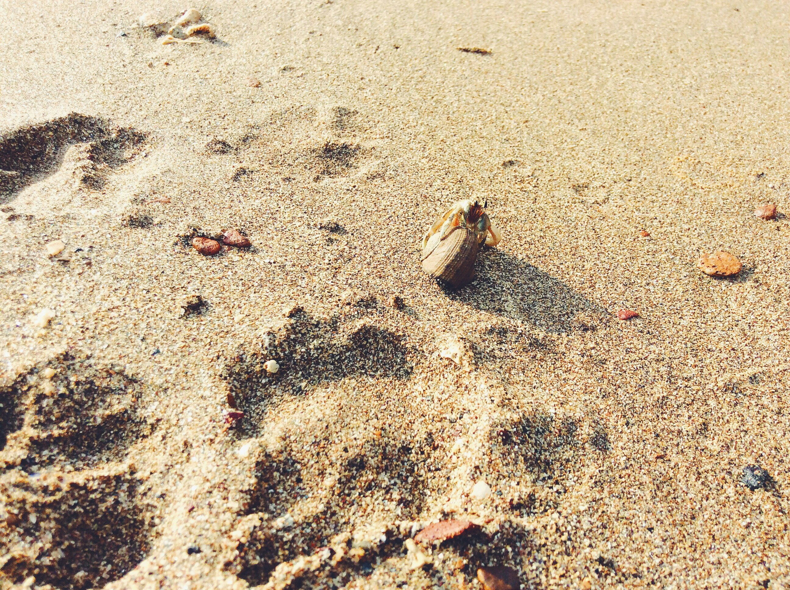 Free Unsplash photo from Mara Rivera