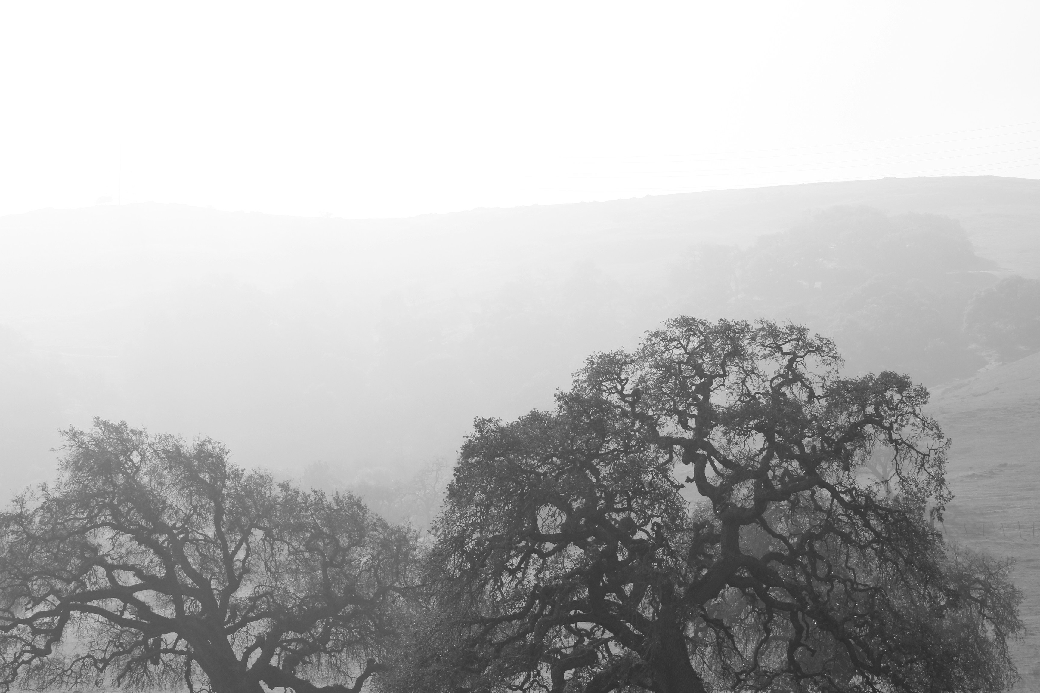 Free Unsplash photo from Thomas Cote