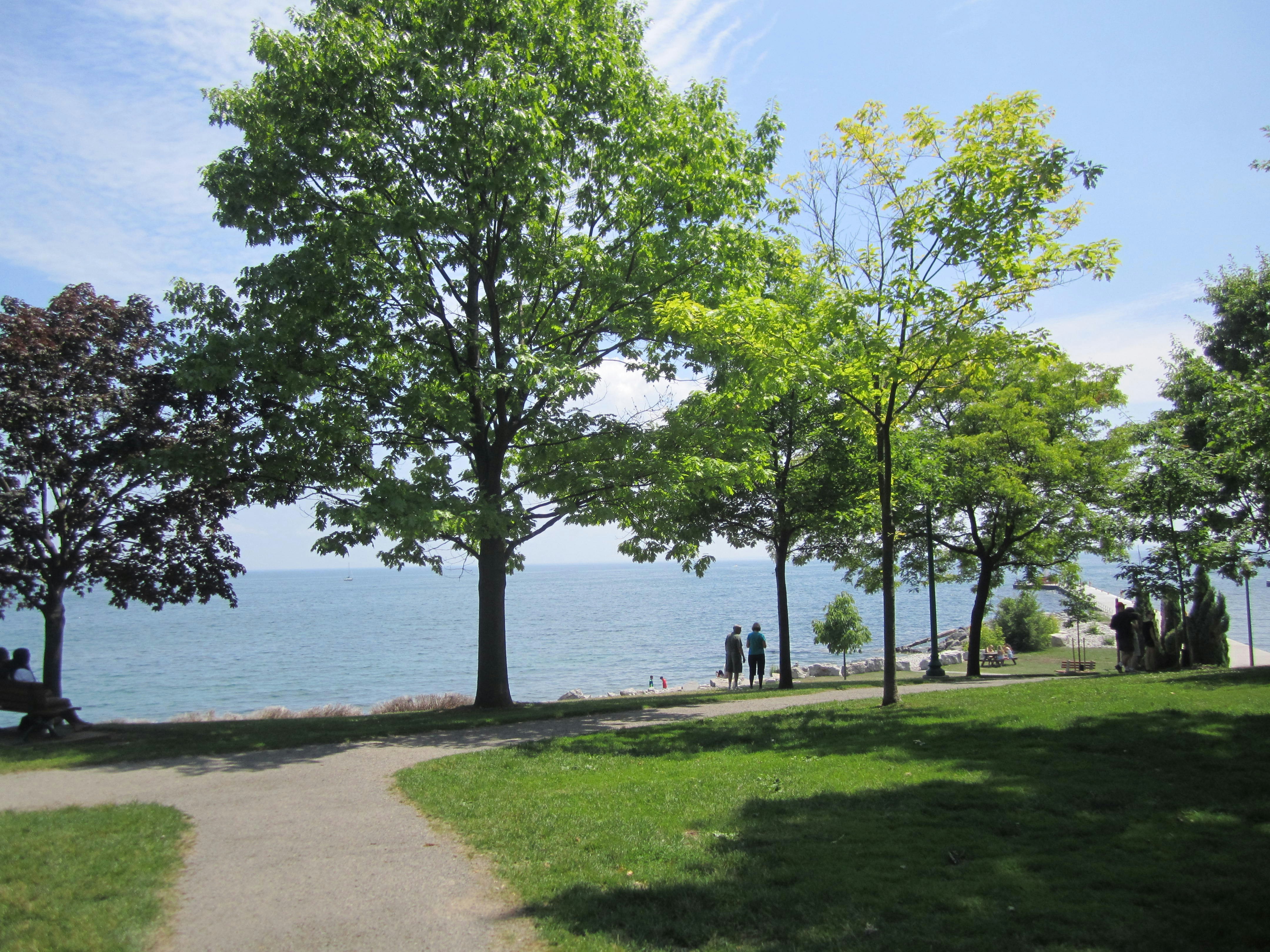 Free Unsplash photo from Nana Nishiwaki