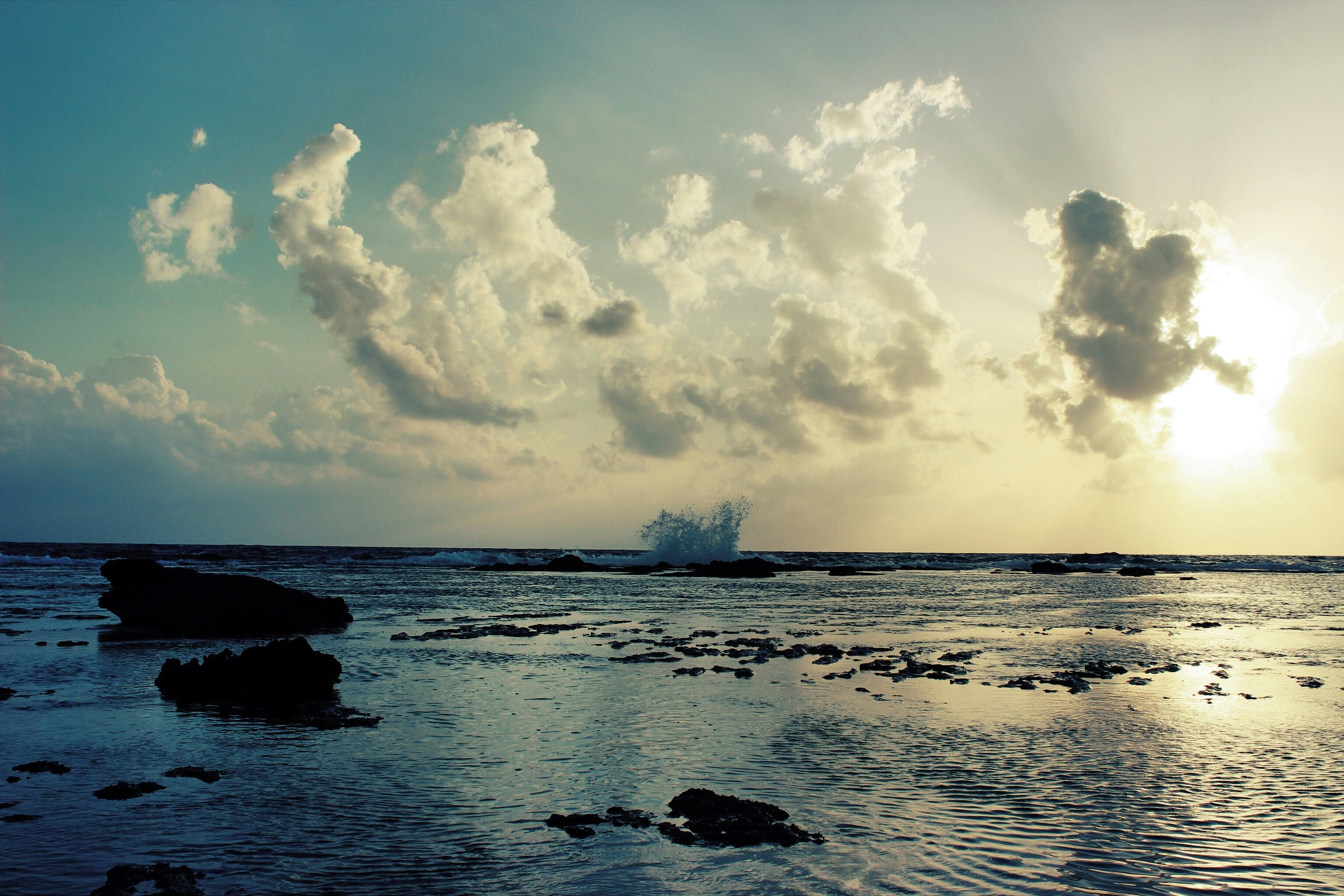 Photo By Mihail Ribkin