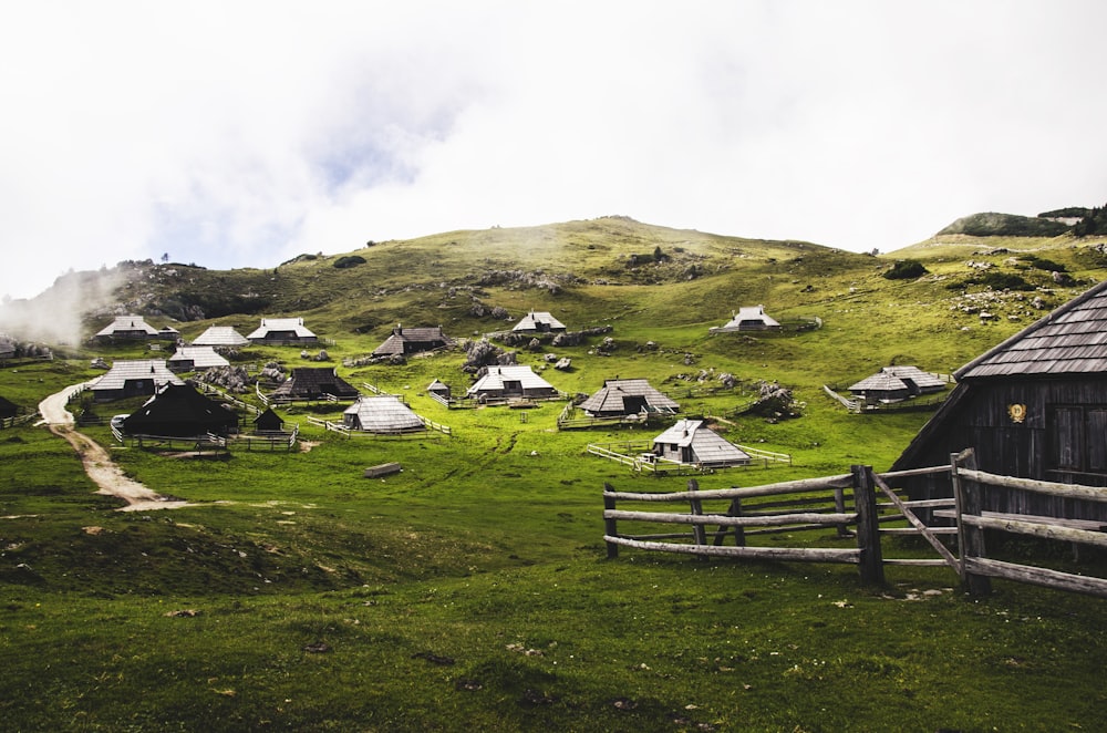 Campo de hierba verde y tiendas de campaña