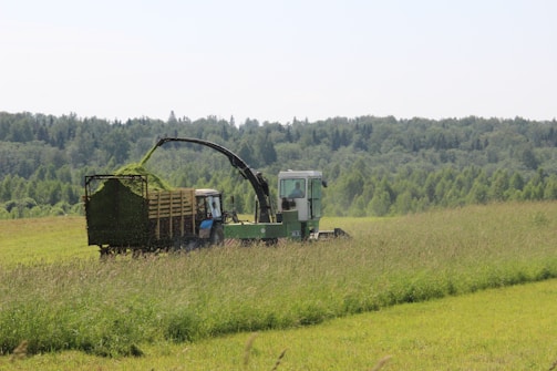 A tractor is operating in a lush green field, equipped with a loader that extends into a wagon, collecting harvested crops. The field is expansive, bordered by a dense forest of trees in the background under a clear sky.