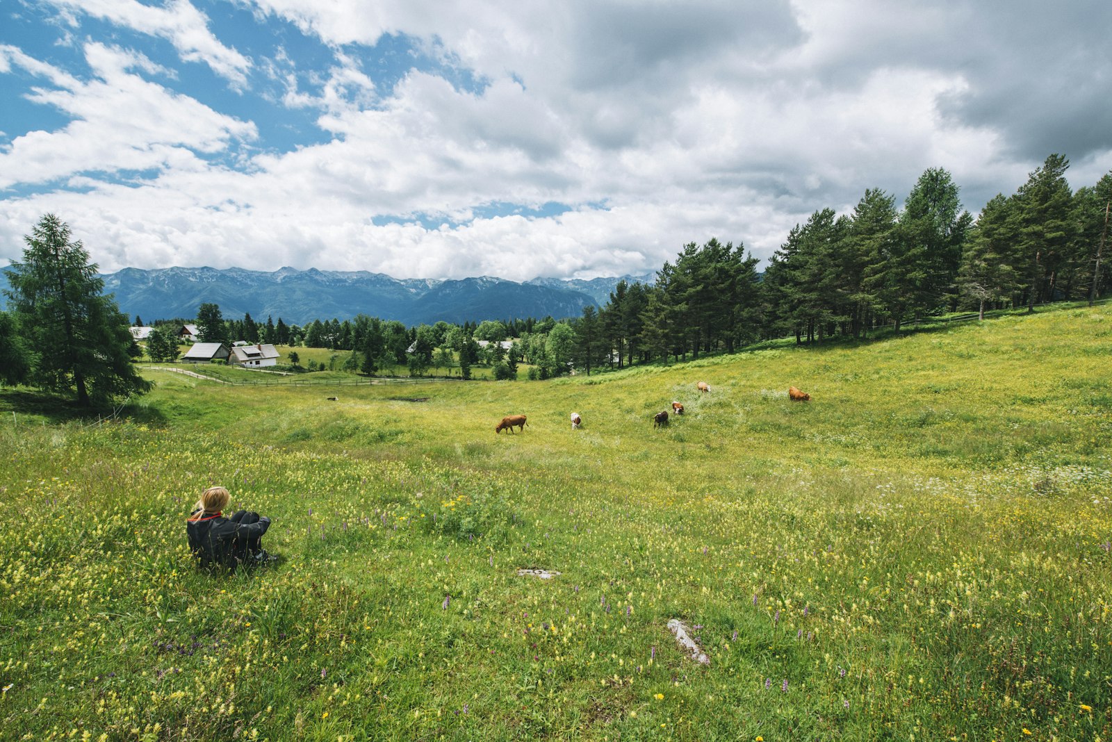 Nikon D800 + Nikon AF-S Nikkor 14-24mm F2.8G ED sample photo. Green grass field during photography