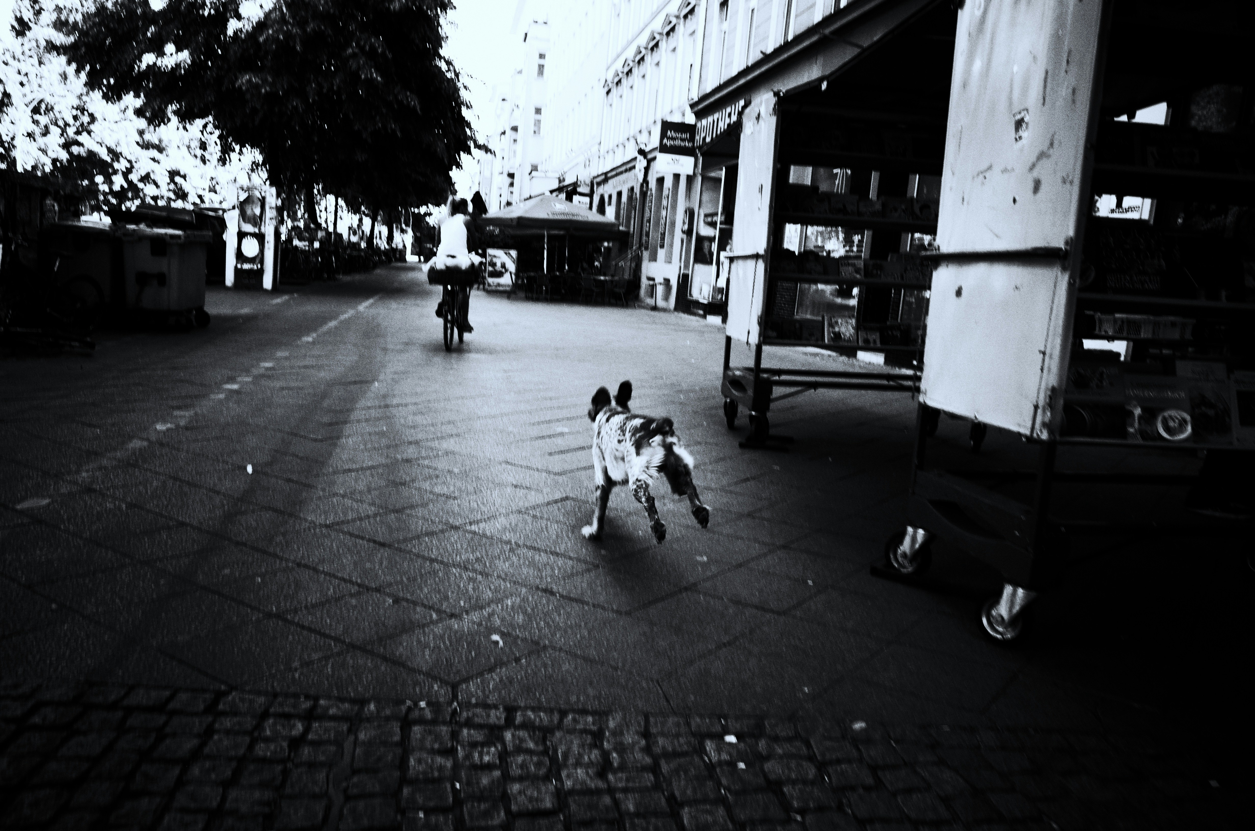 Free Unsplash photo from David Nääs