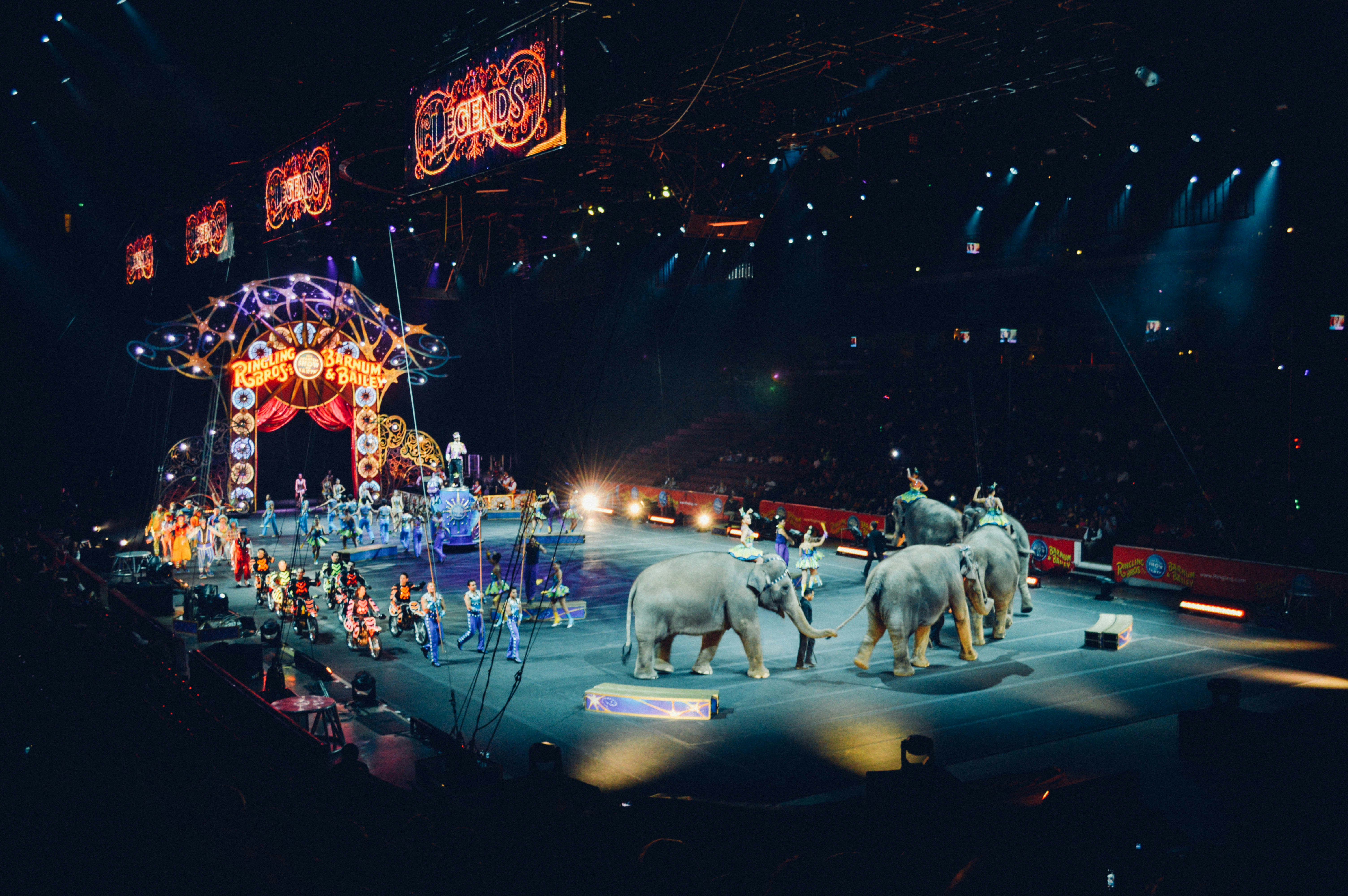 Photo de circus par Becky Phan