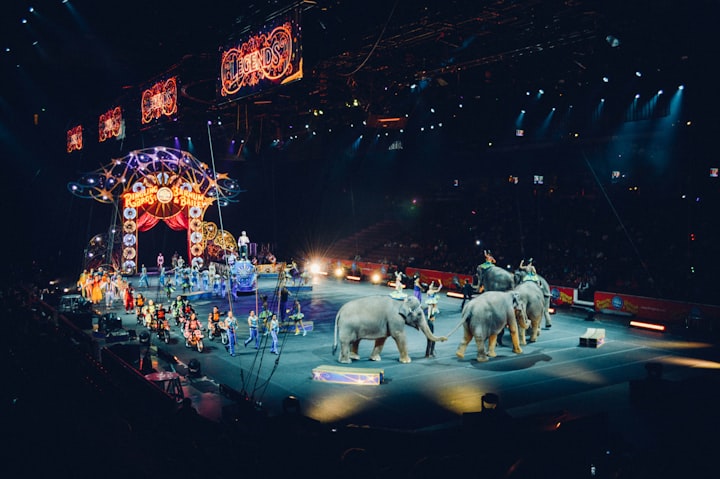 The Circus