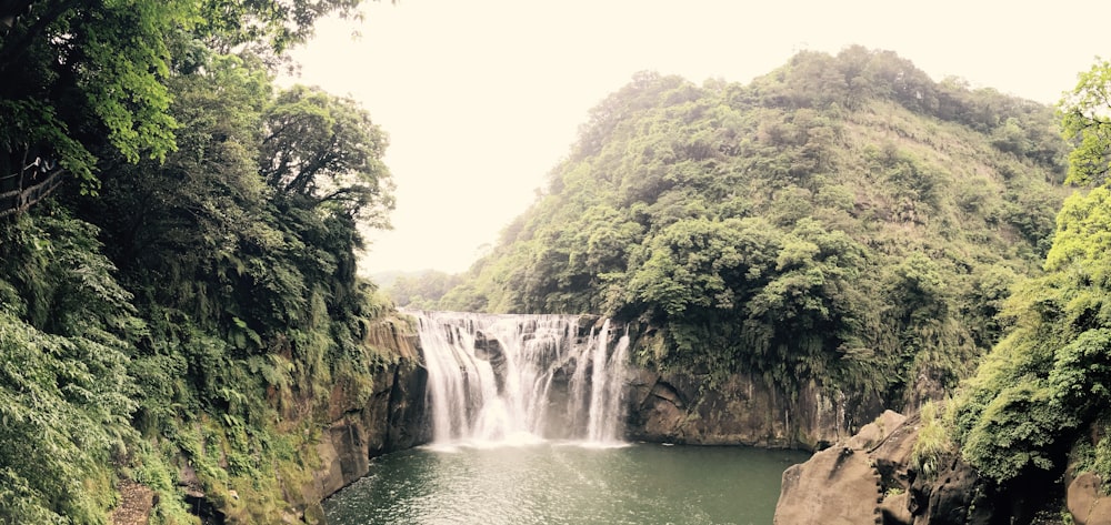 waterfall in forest