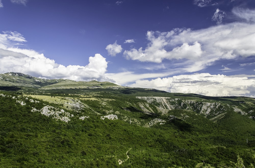 terrain vert sous ciel clair