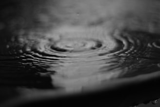 Concentric ripples spread across a calm water surface in a monochromatic setting, capturing the gentle motion and texture of water disturbed by a small impact.