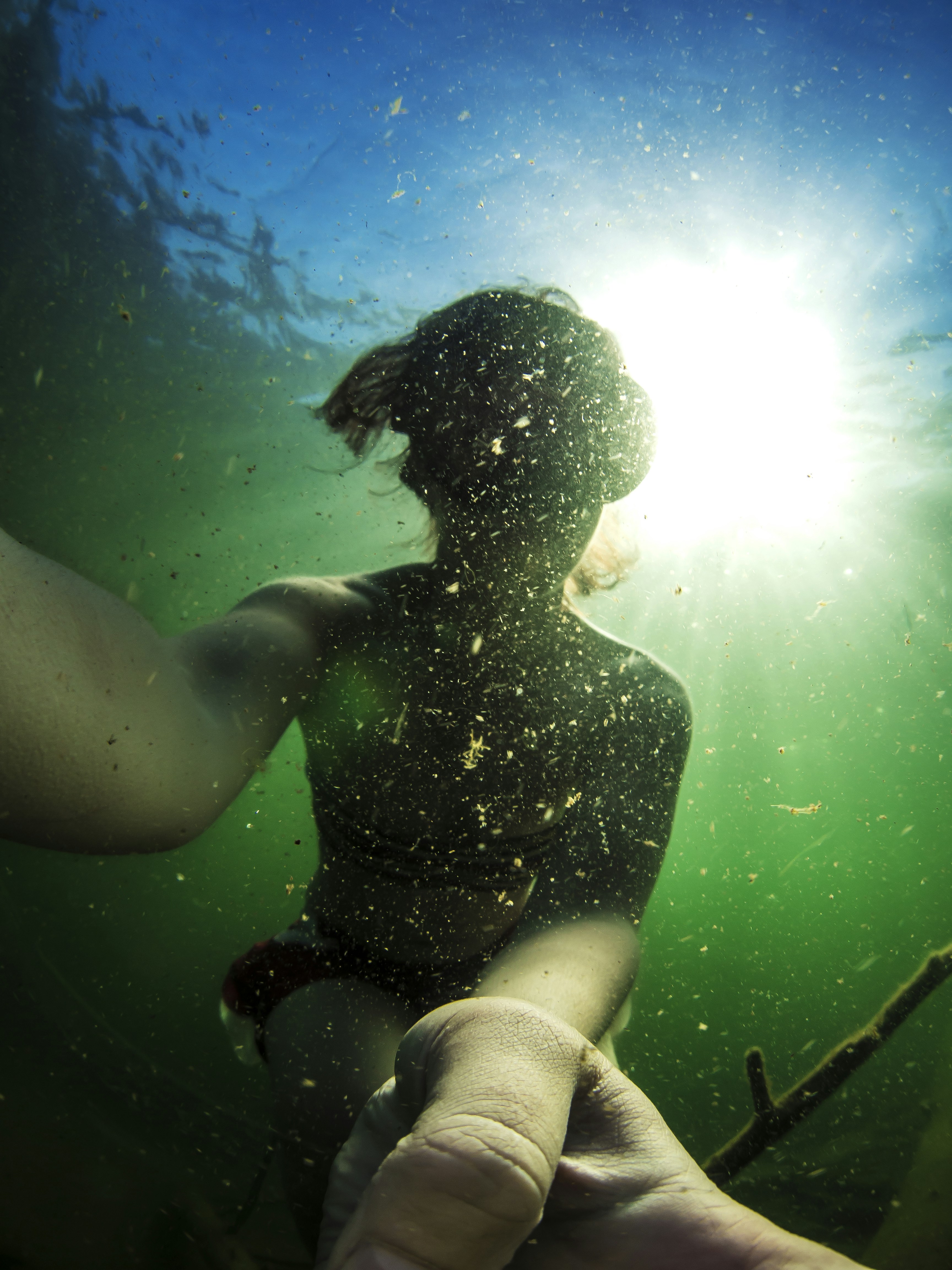 Free Unsplash photo from Talia Cohen