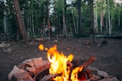 A campfire glowing warmly in a forest clearing at dusk.