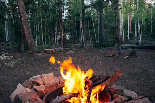 A campfire burns brightly in a clearing surrounded by a dense forest. The fire emits glowing embers and is encircled by rocks. Tall trees with green leaves and a few birch trees are visible in the background, creating a serene and natural setting.