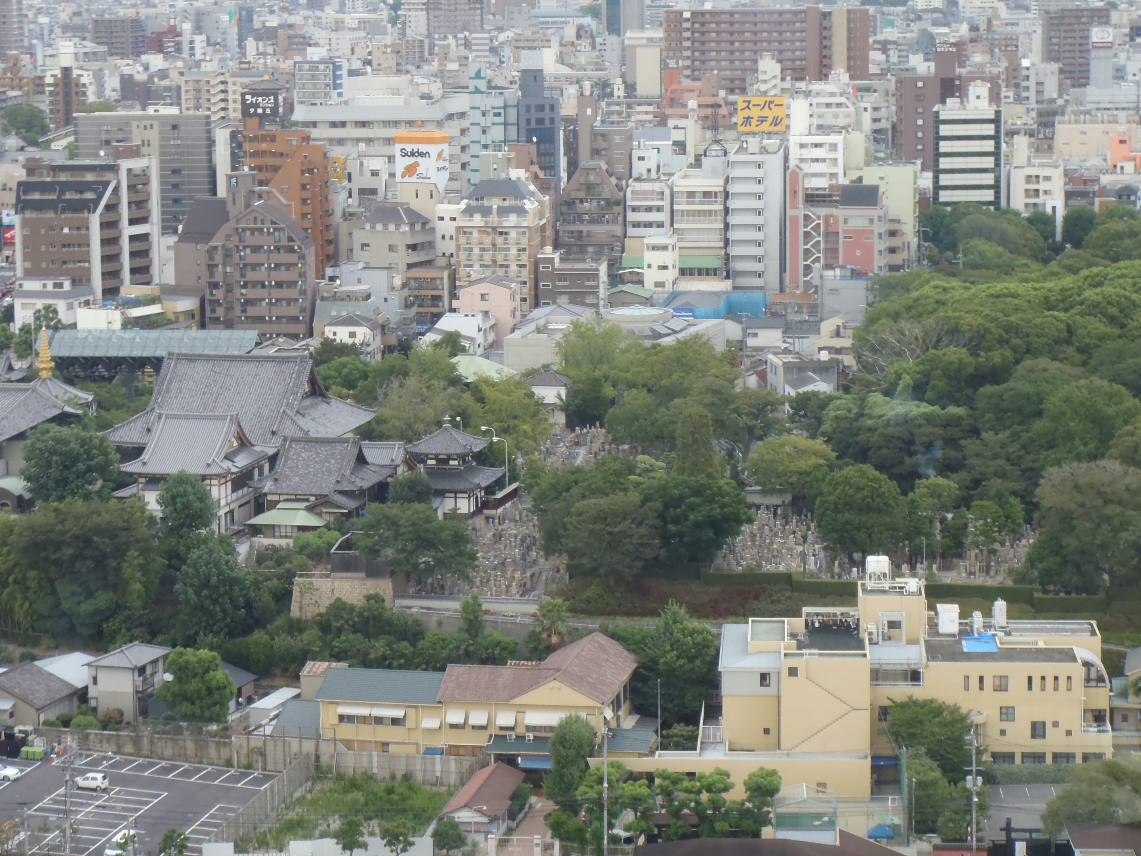 Free Unsplash photo from Scarper Montgomery