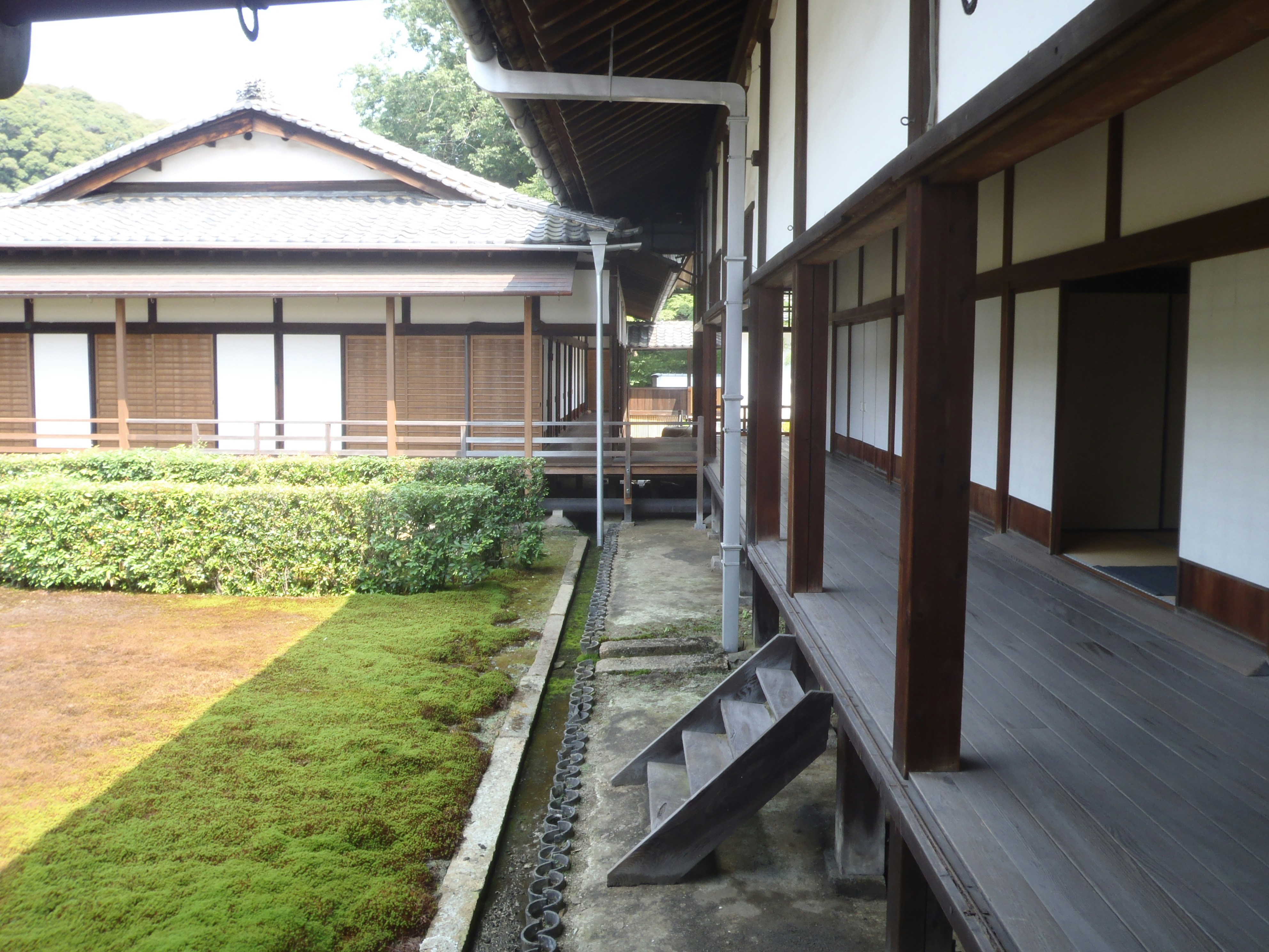 Free Unsplash photo from Scarper Montgomery