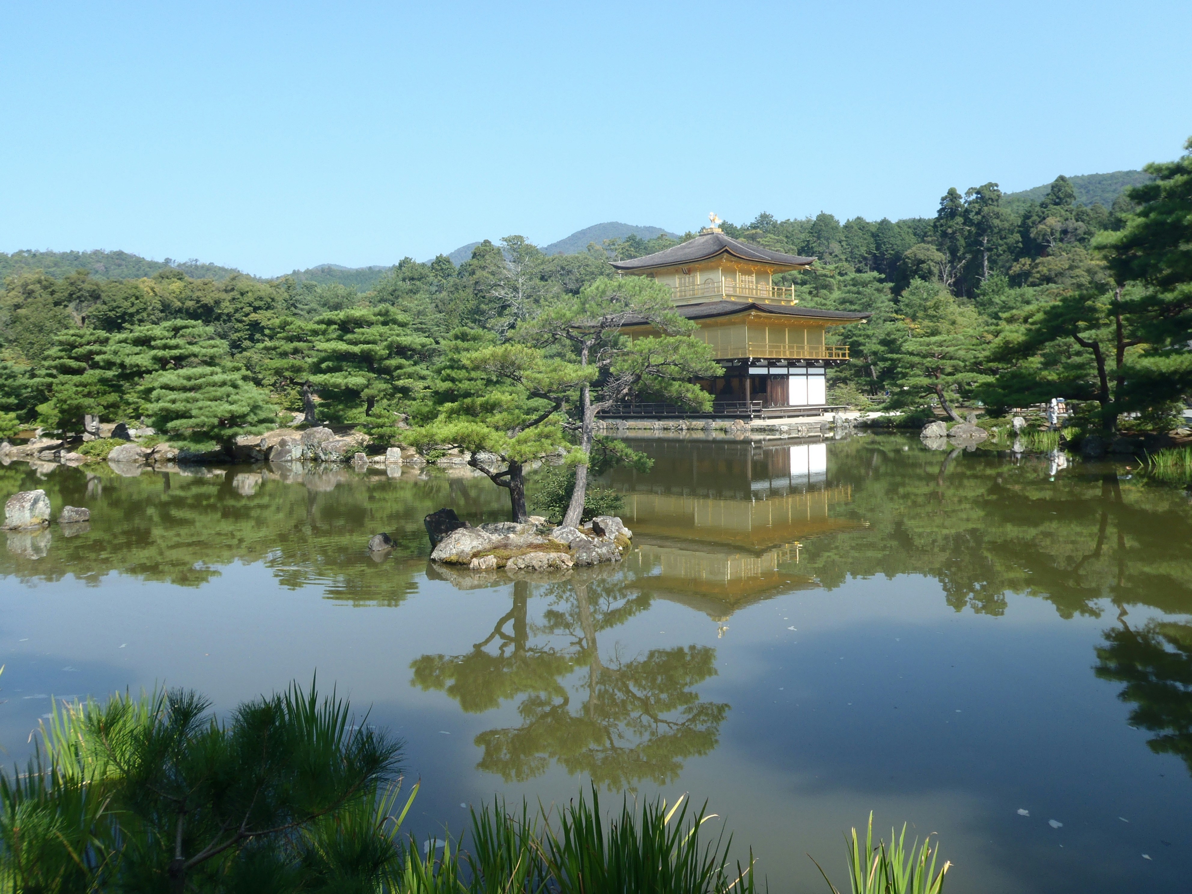 Free Unsplash photo from Scarper Montgomery