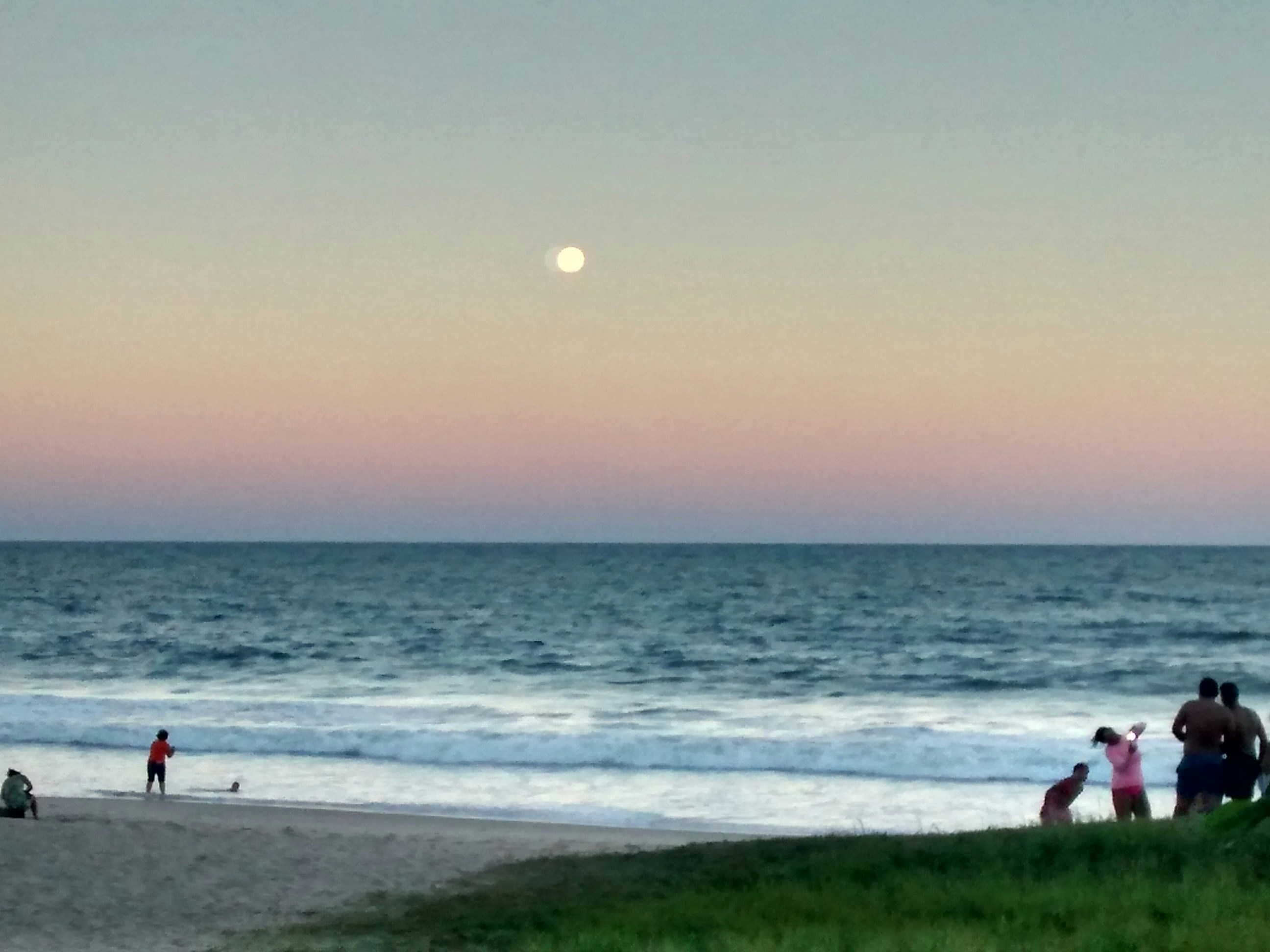 Free Unsplash photo from Nelson Biagio Junior