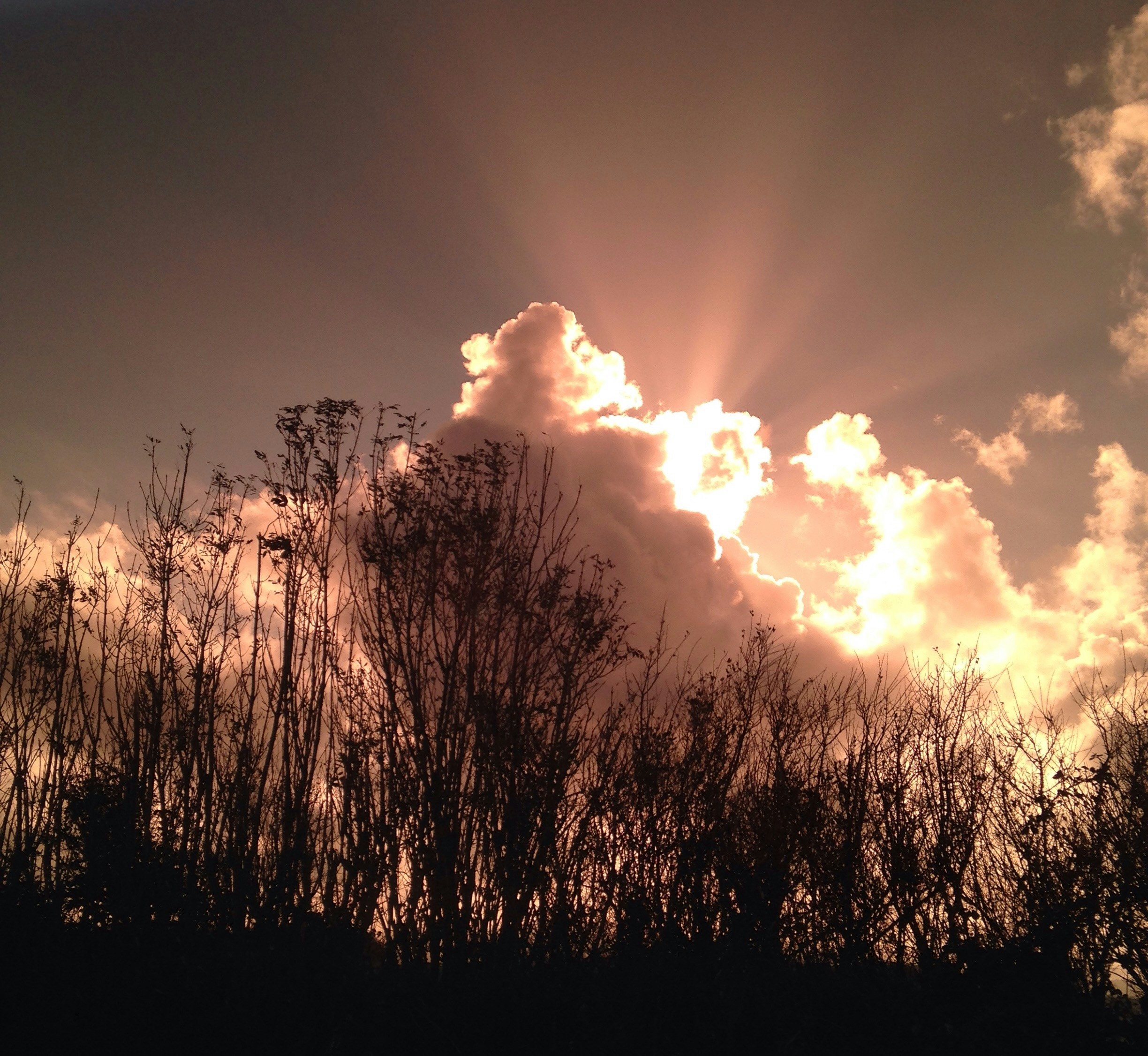 Free Unsplash photo from Chris Sargison