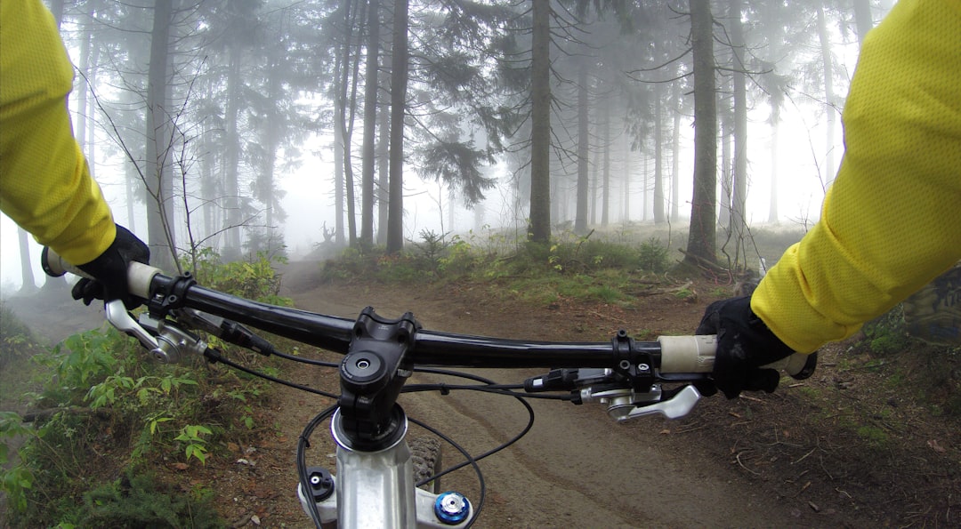 person riding on mountain bike in forest during foggy day,