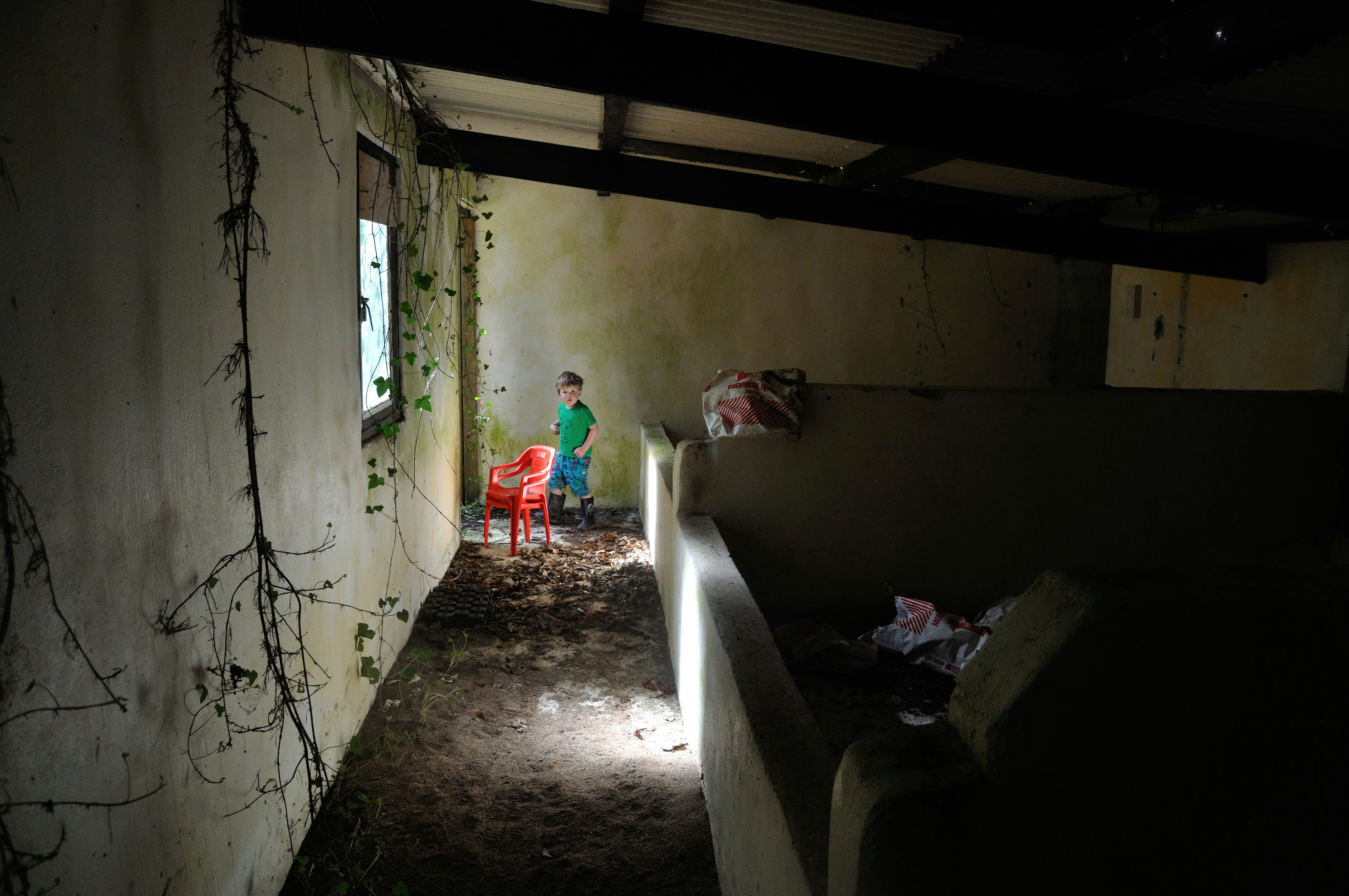 Free Unsplash photo from Ibolya Nemeth