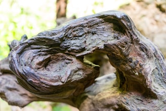Close-up of a richly textured petrified wood slab with natural colors and patterns, ready to be transformed into furniture.