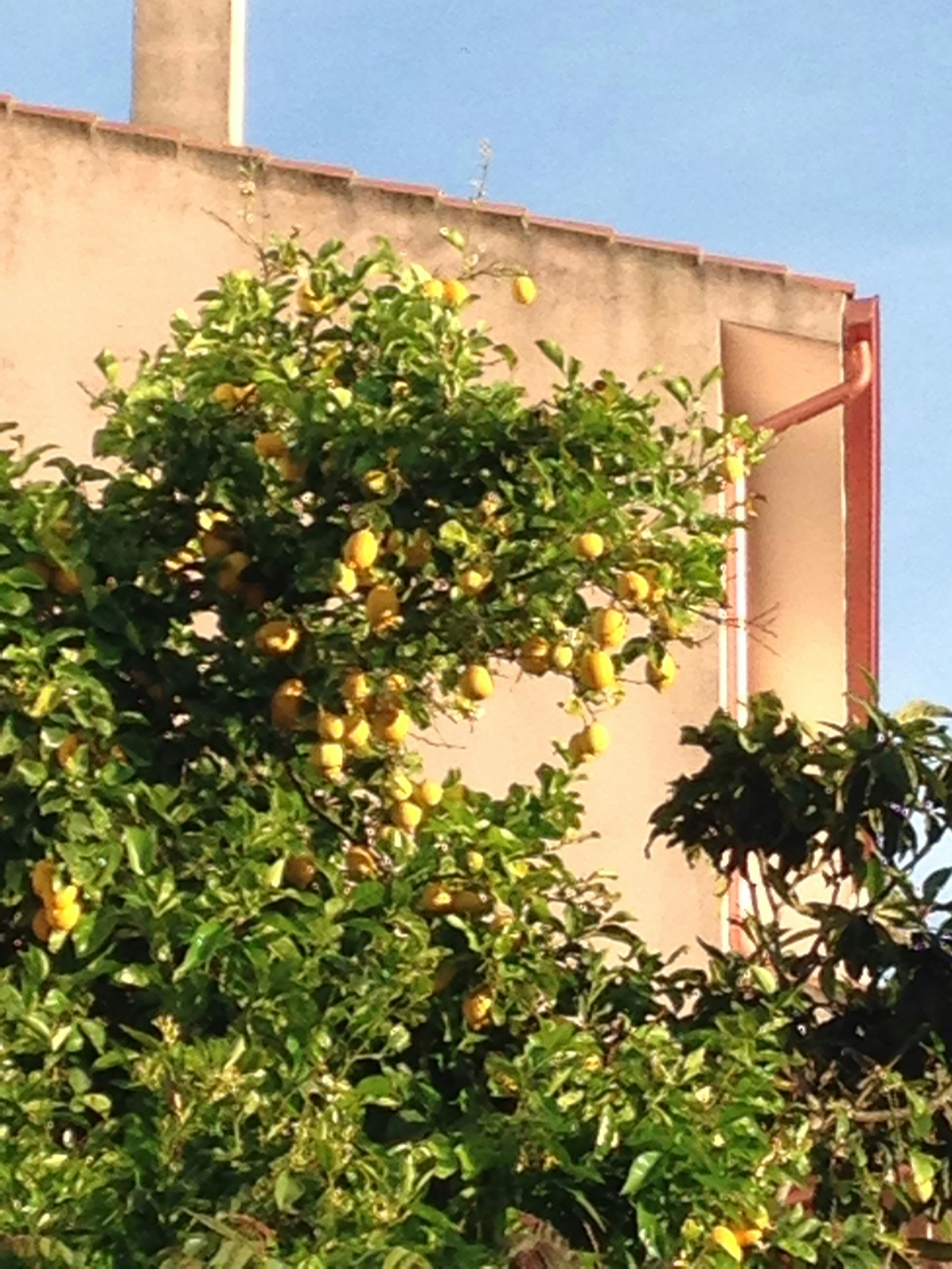 Free Unsplash photo from Chris Sargison