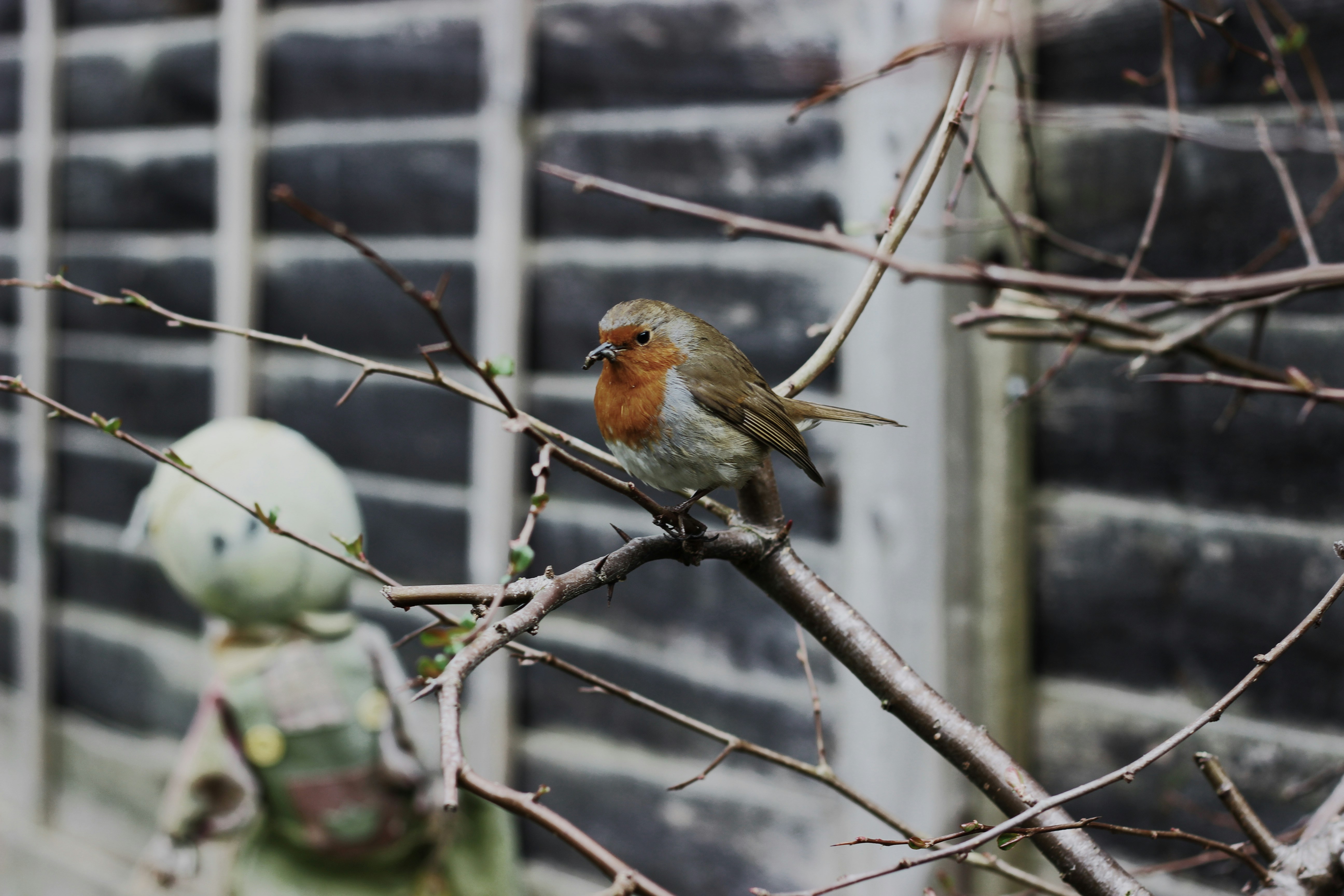 Free Unsplash photo from Chris Horn