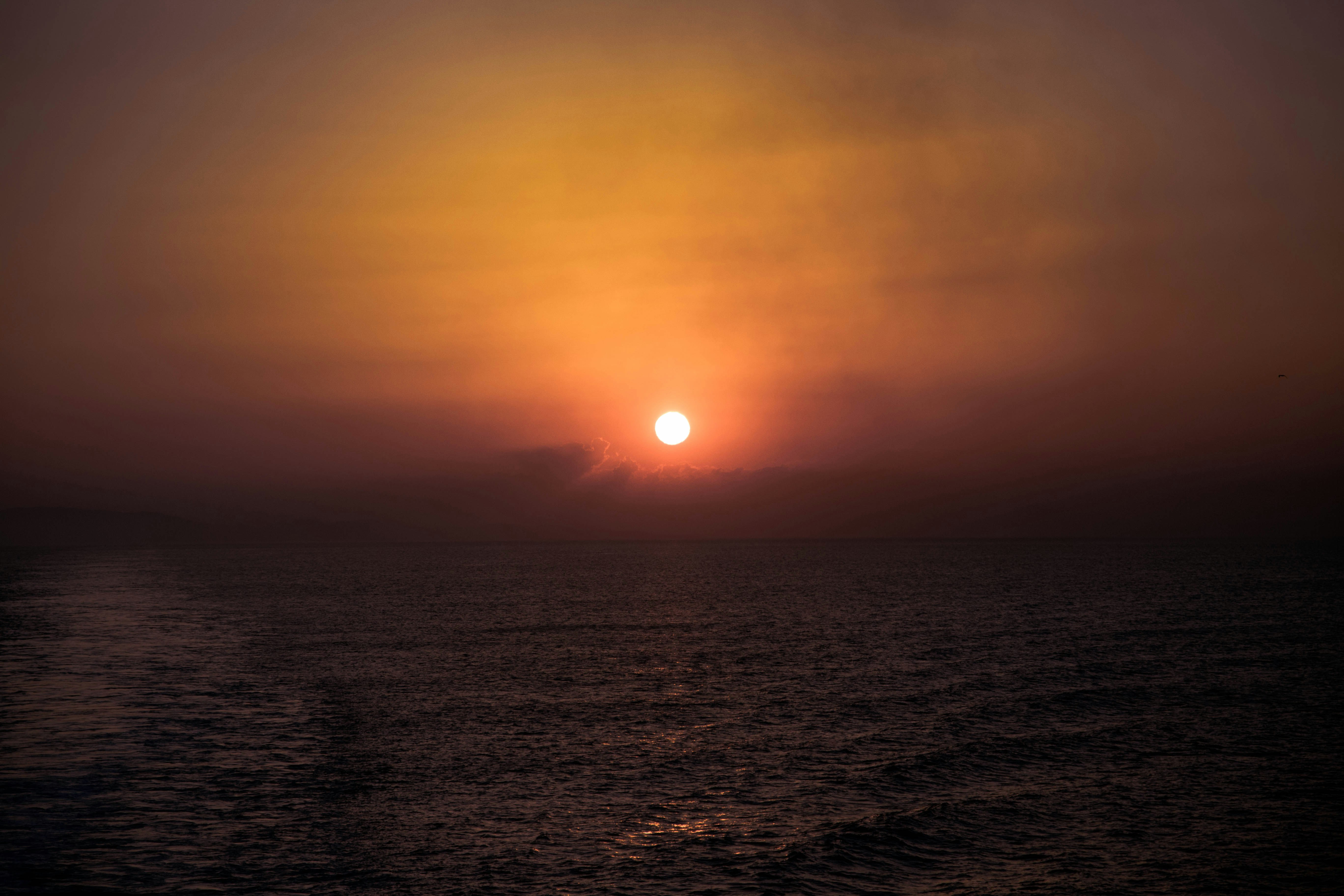 Free Unsplash photo from Dan Chung