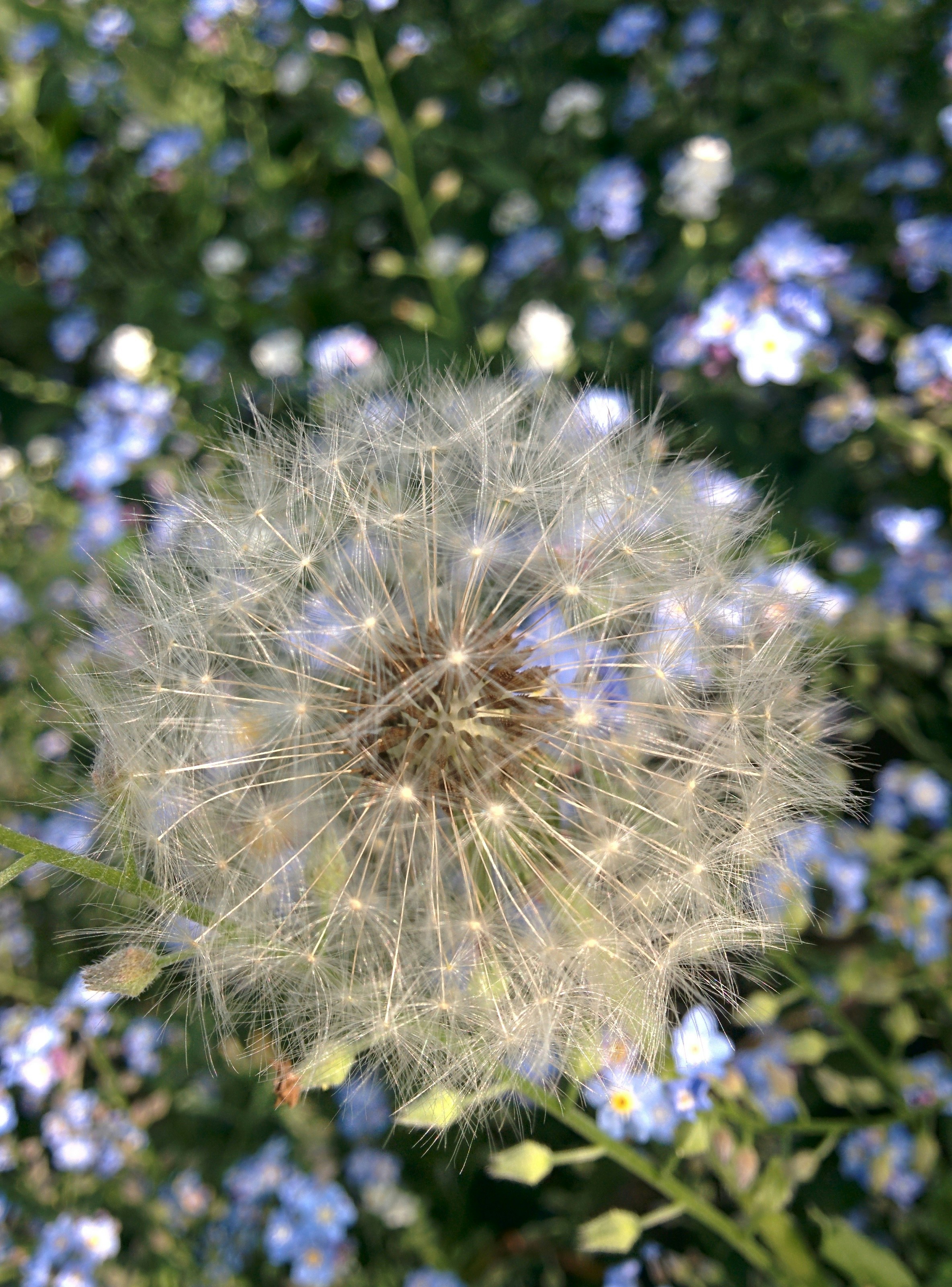 Free Unsplash photo from Kalin  Yorgov