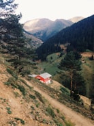 A vibrant red house with a gray roof sits on a sloped hillside surrounded by lush greenery and tall pine trees. The background features expansive mountains under a bright, clear sky, creating a serene and picturesque landscape. The winding path leading up to the house adds to the rural charm.