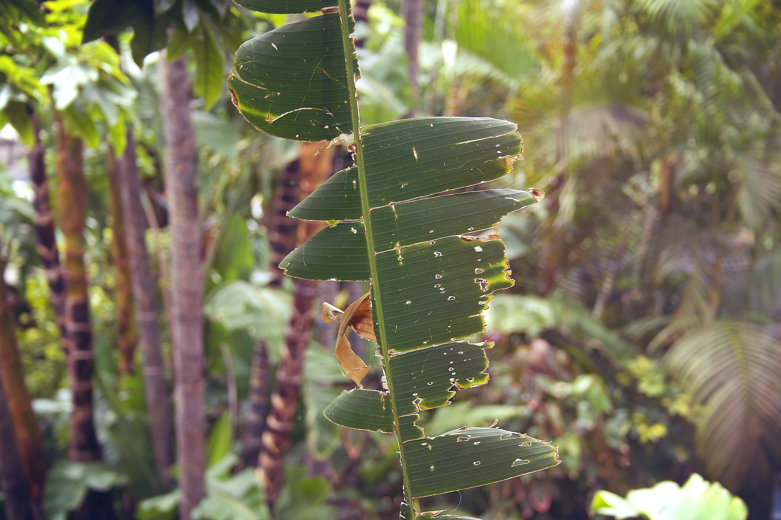 Free Unsplash photo from Dominik Vayrynen