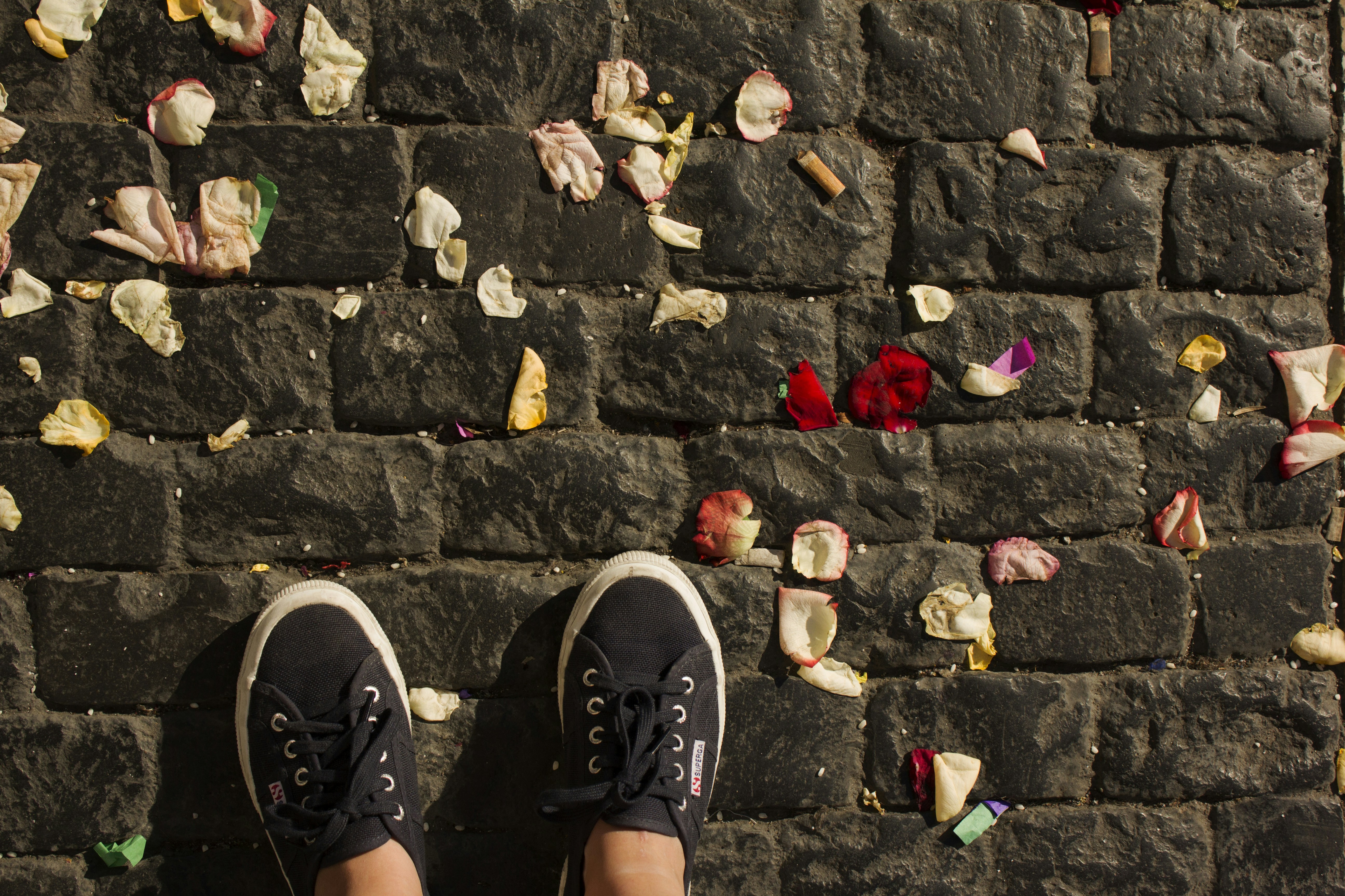 Free Unsplash photo from Natalia Ruiz