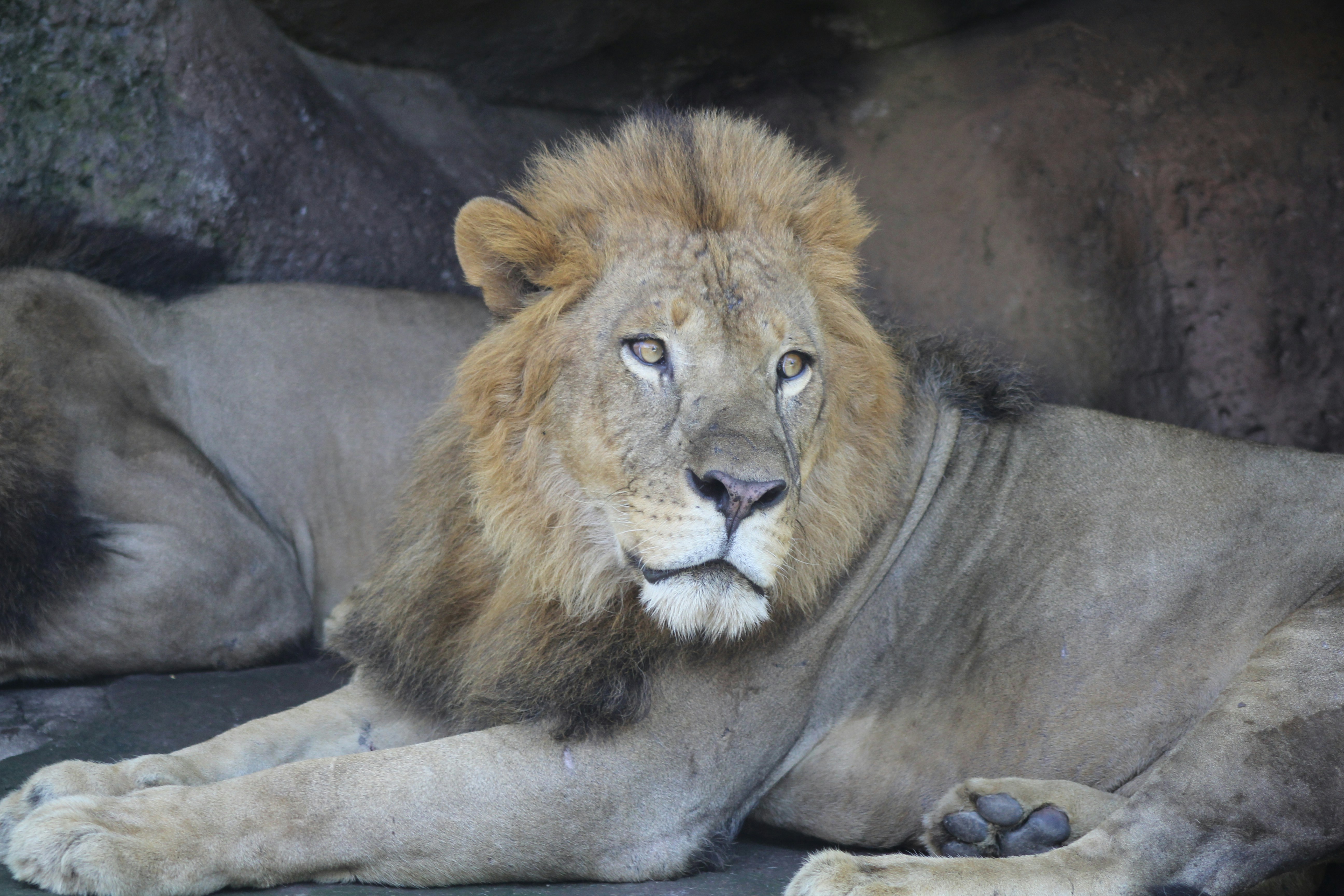 Free Unsplash photo from Mehran Babaee