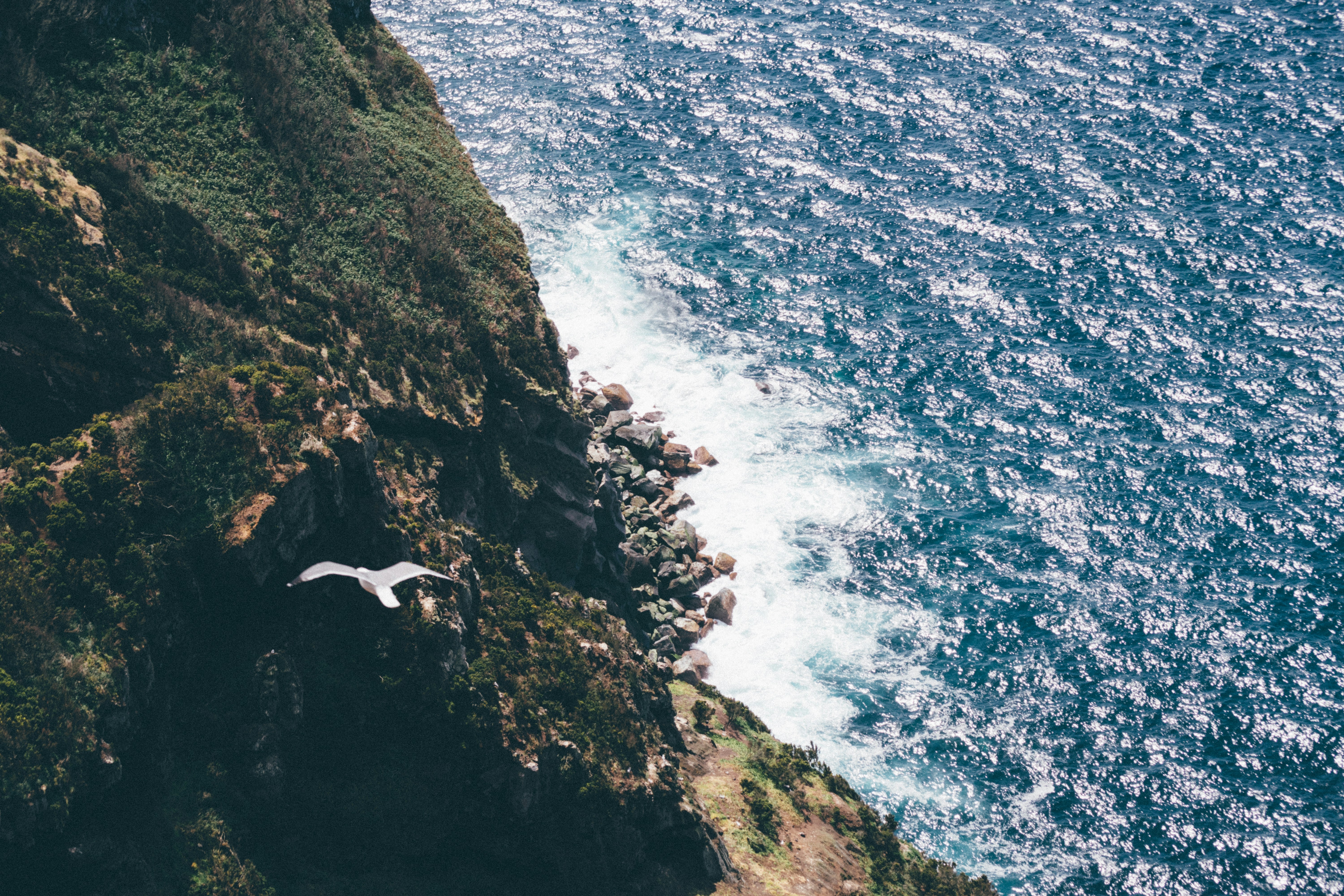 Free Unsplash photo from Jose Murillo