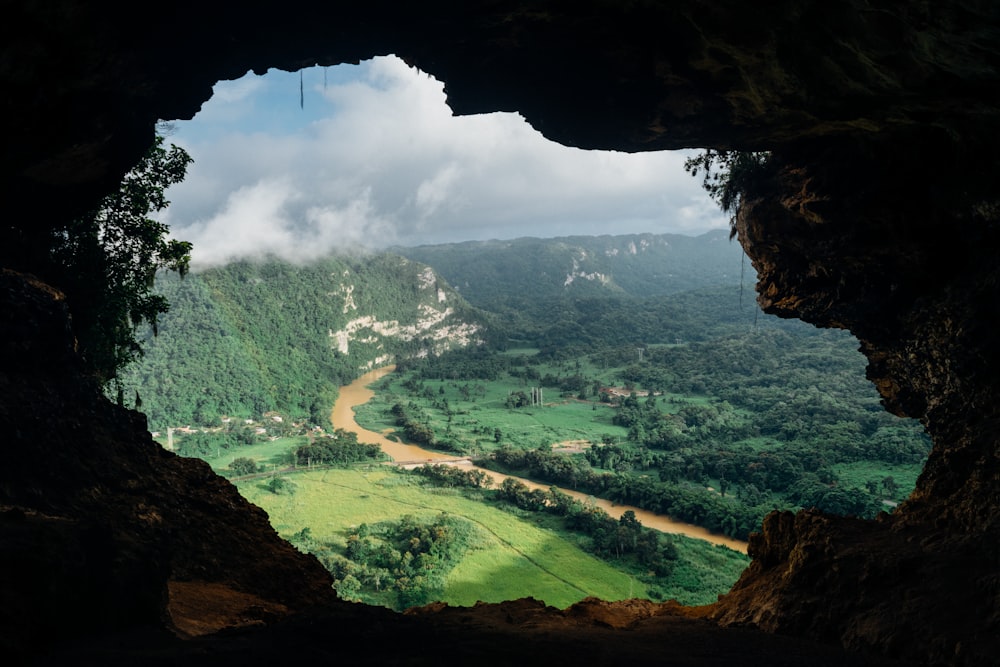 Caverna marrom com vista geral da floresta durante o dia