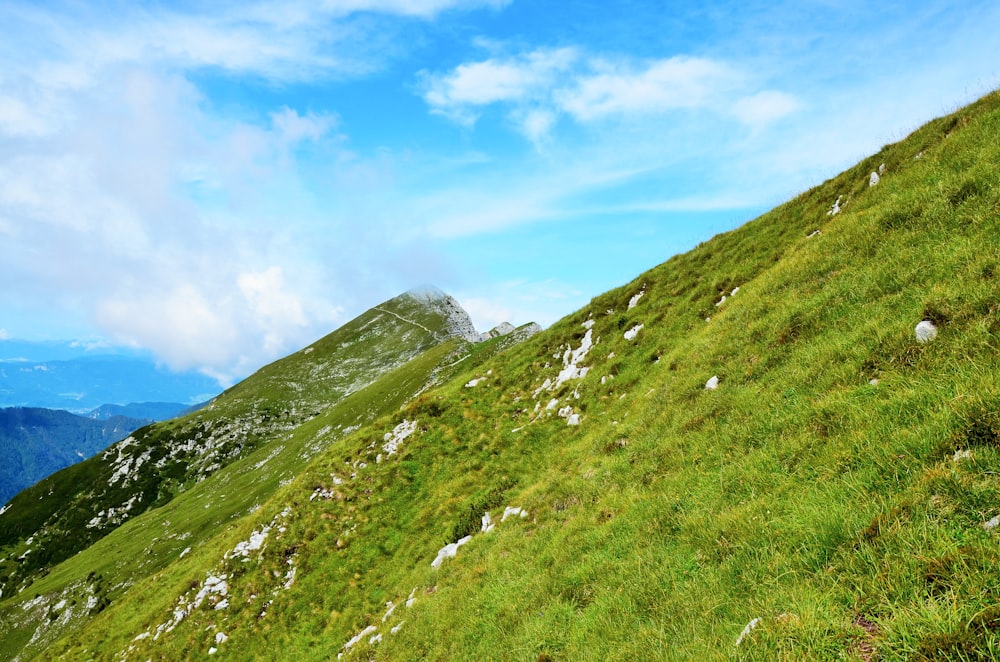 青い曇り空の下の緑の草原の山