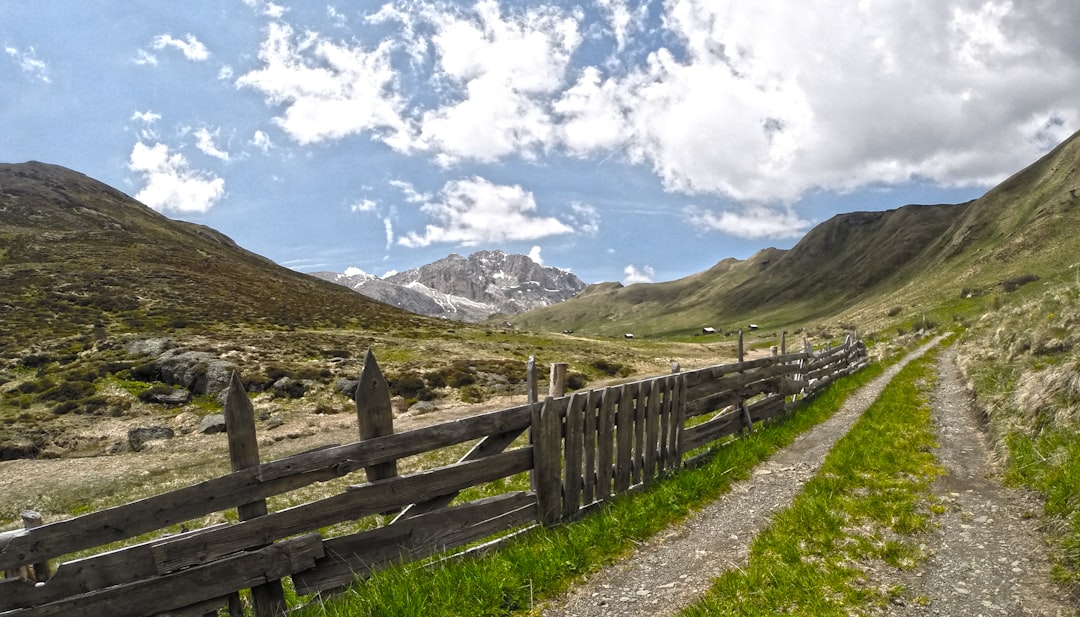 brown wooden fence on mountain