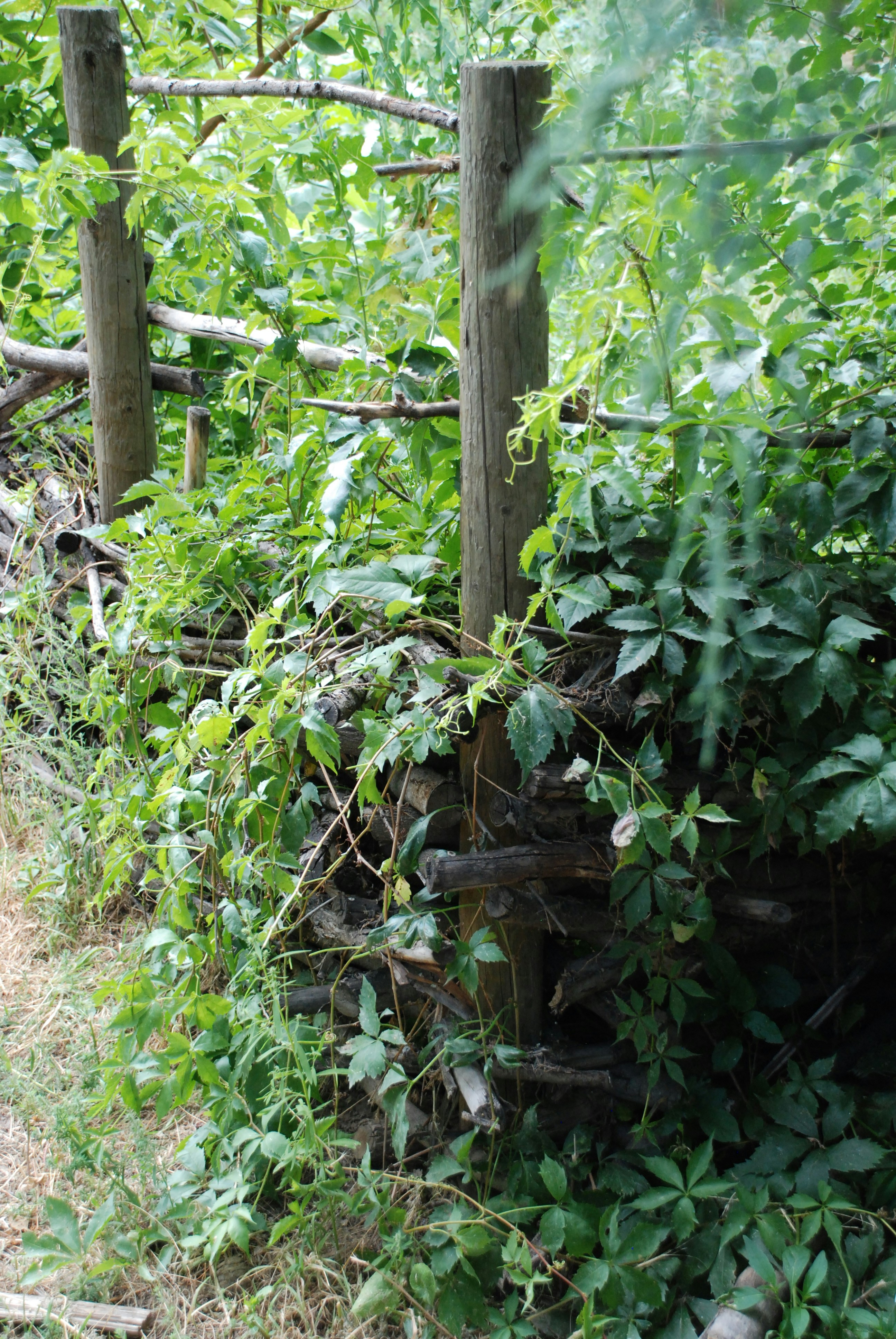 Free Unsplash photo from Eric Rothermel