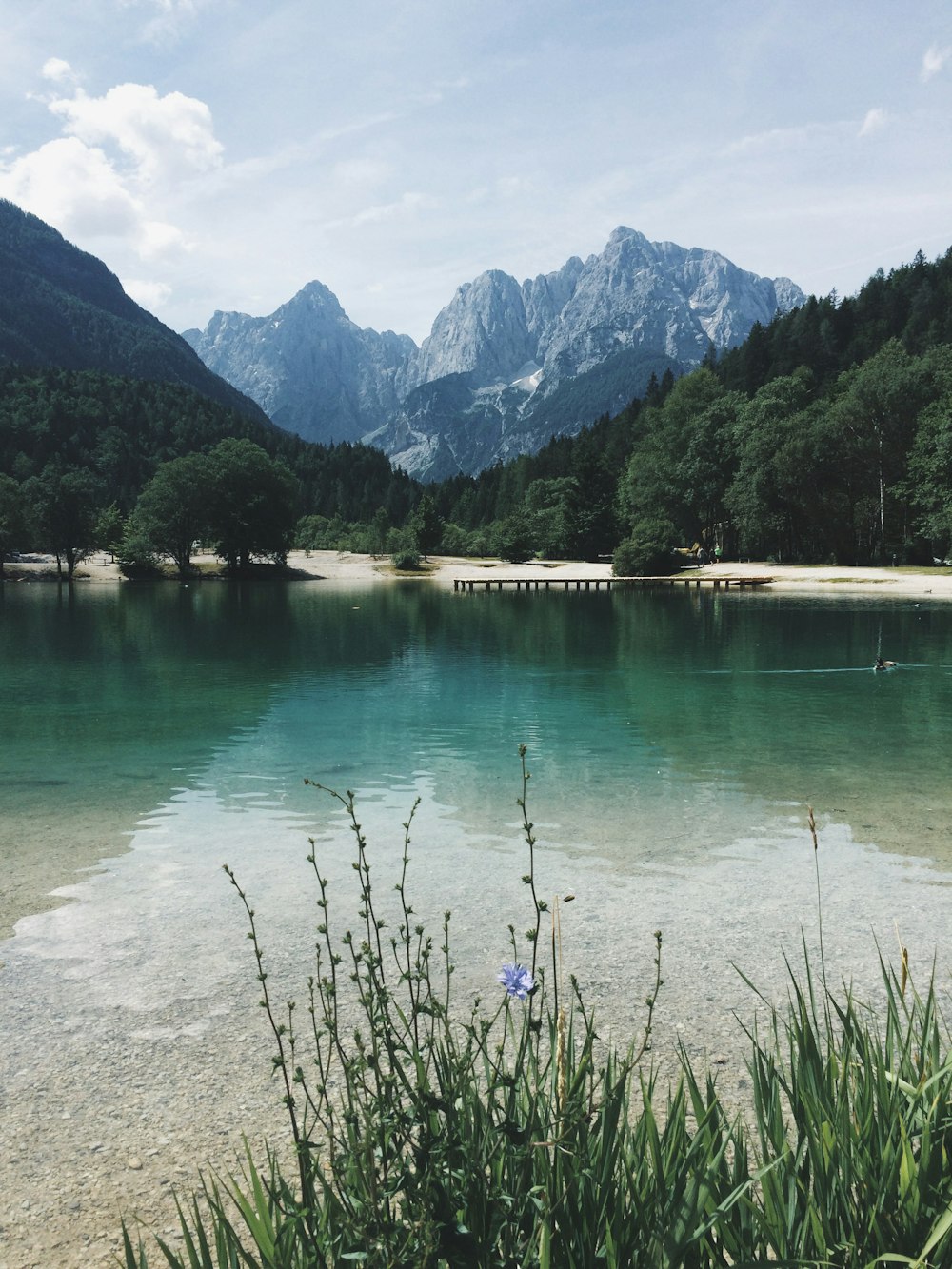 calm body of water surrounded with trees and mountain