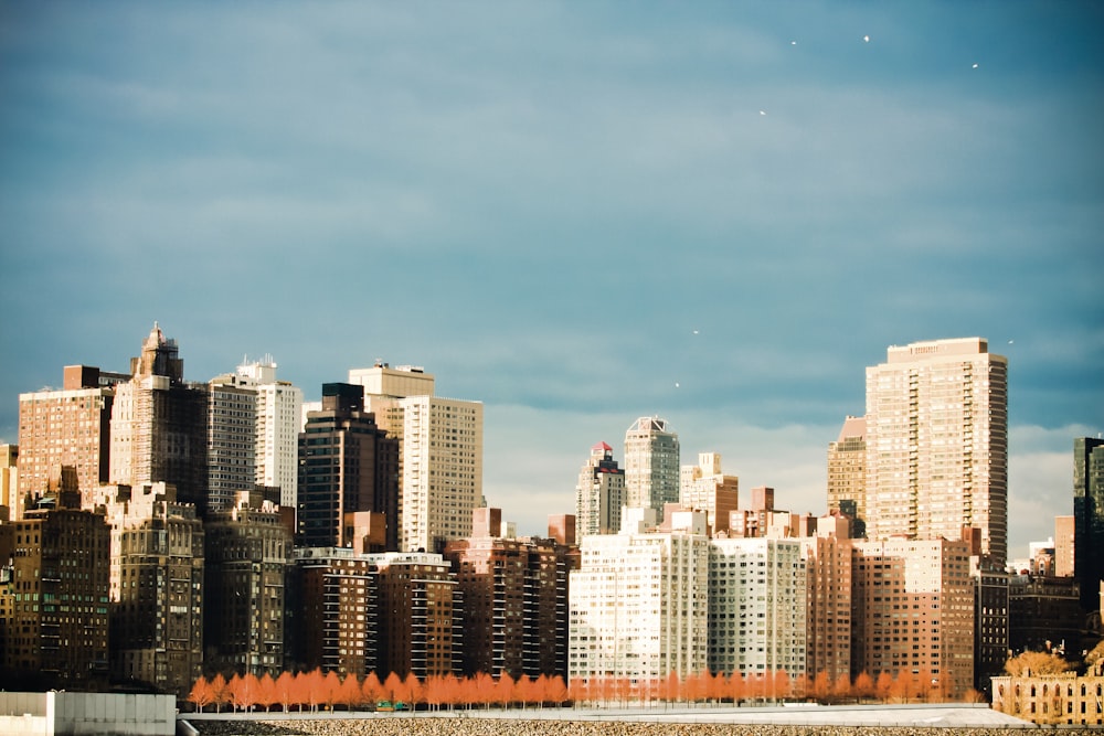 concrete buildings under cloudy sky