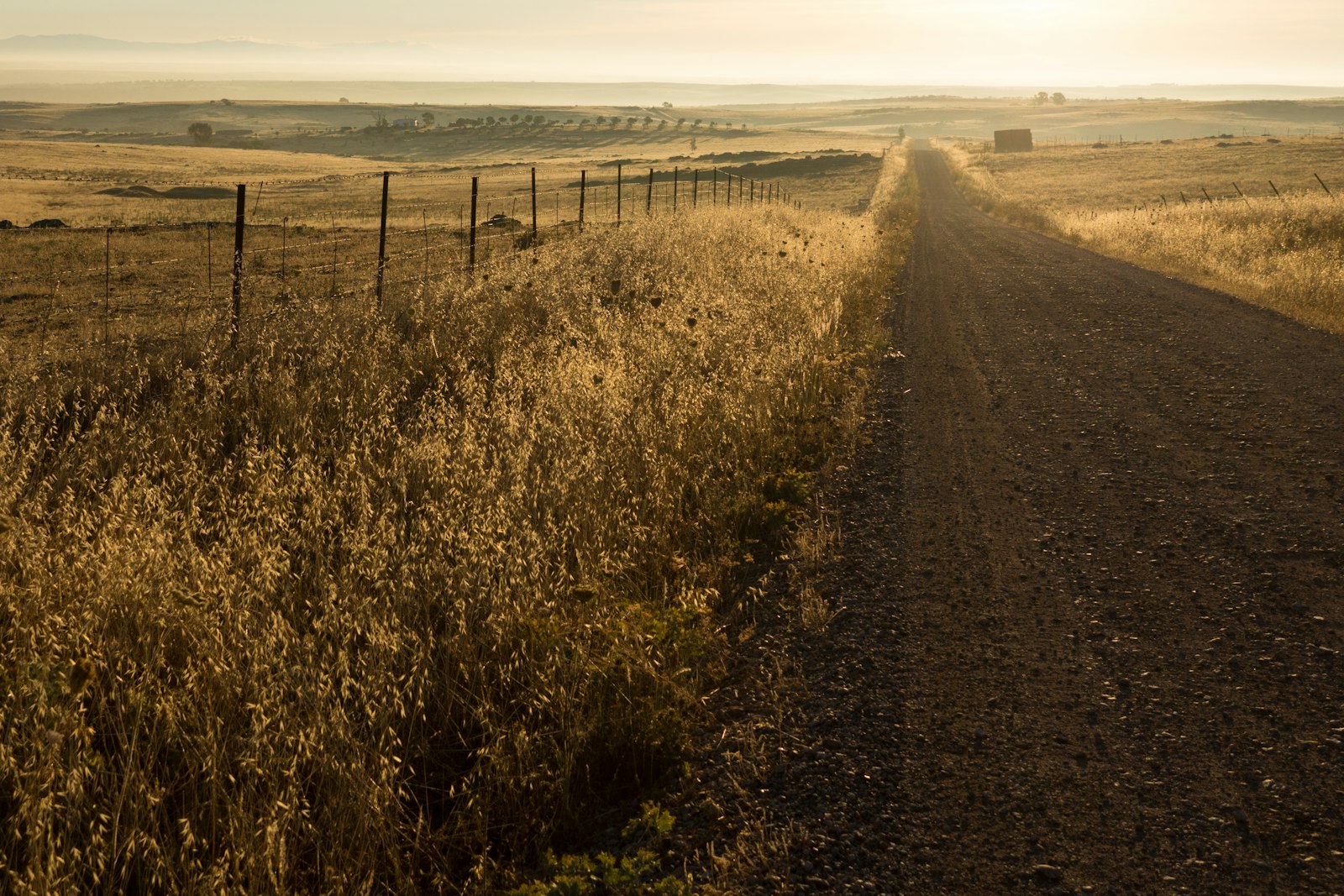 Sony SLT-A77 + Sony Vario-Sonnar T* DT 16-80mm F3.5-4.5 ZA sample photo. Brown road between plants photography