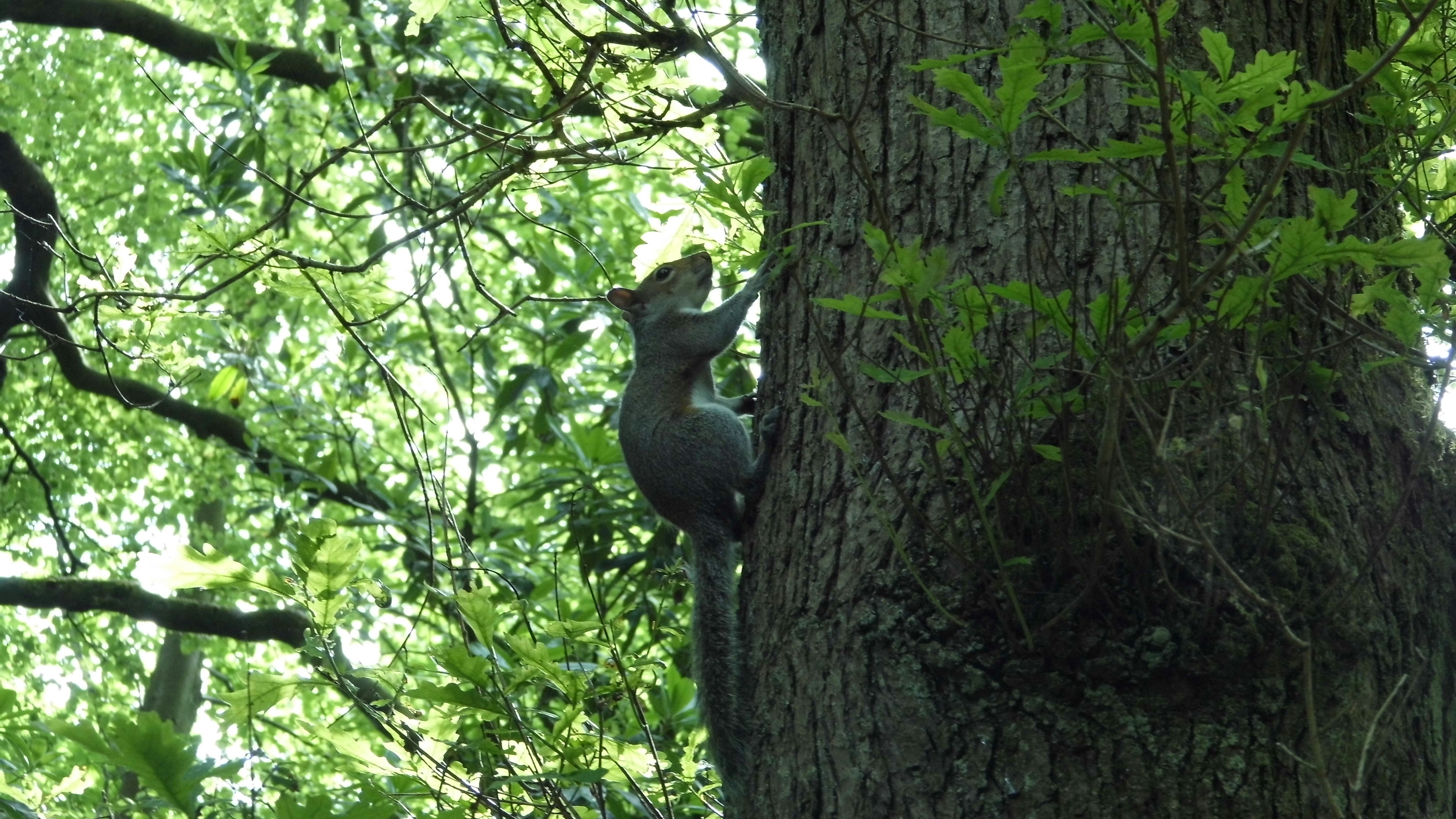 Free Unsplash photo from Josh Mather