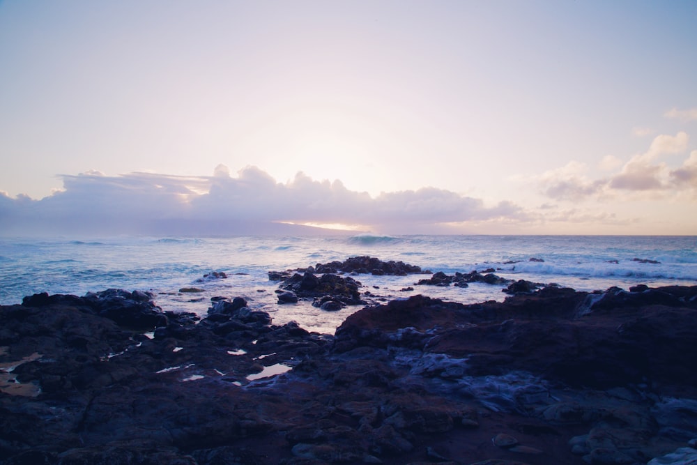 landscape photography of seashore