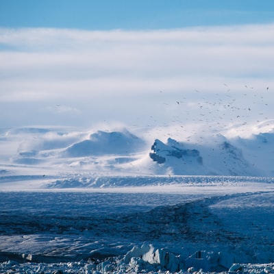 tp.web.random_picture