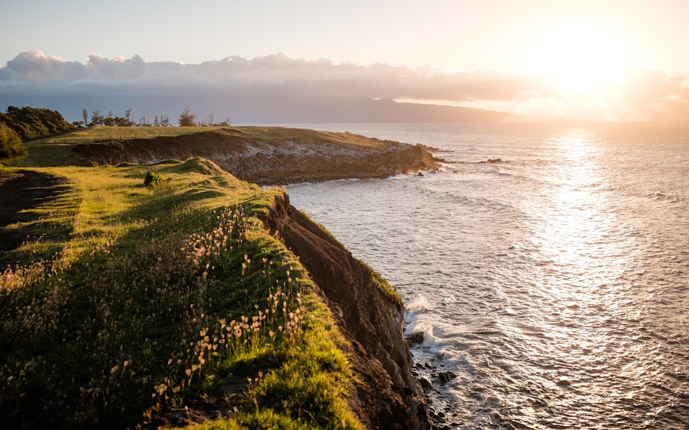 green grass on mountain near sea