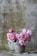 pink flowers on gray ceramic vase
