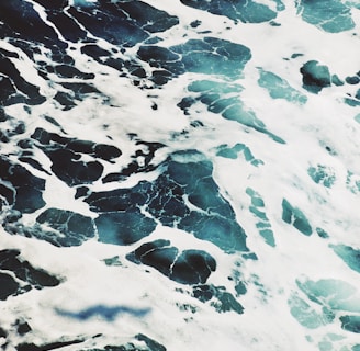Seascape of the ocean foam