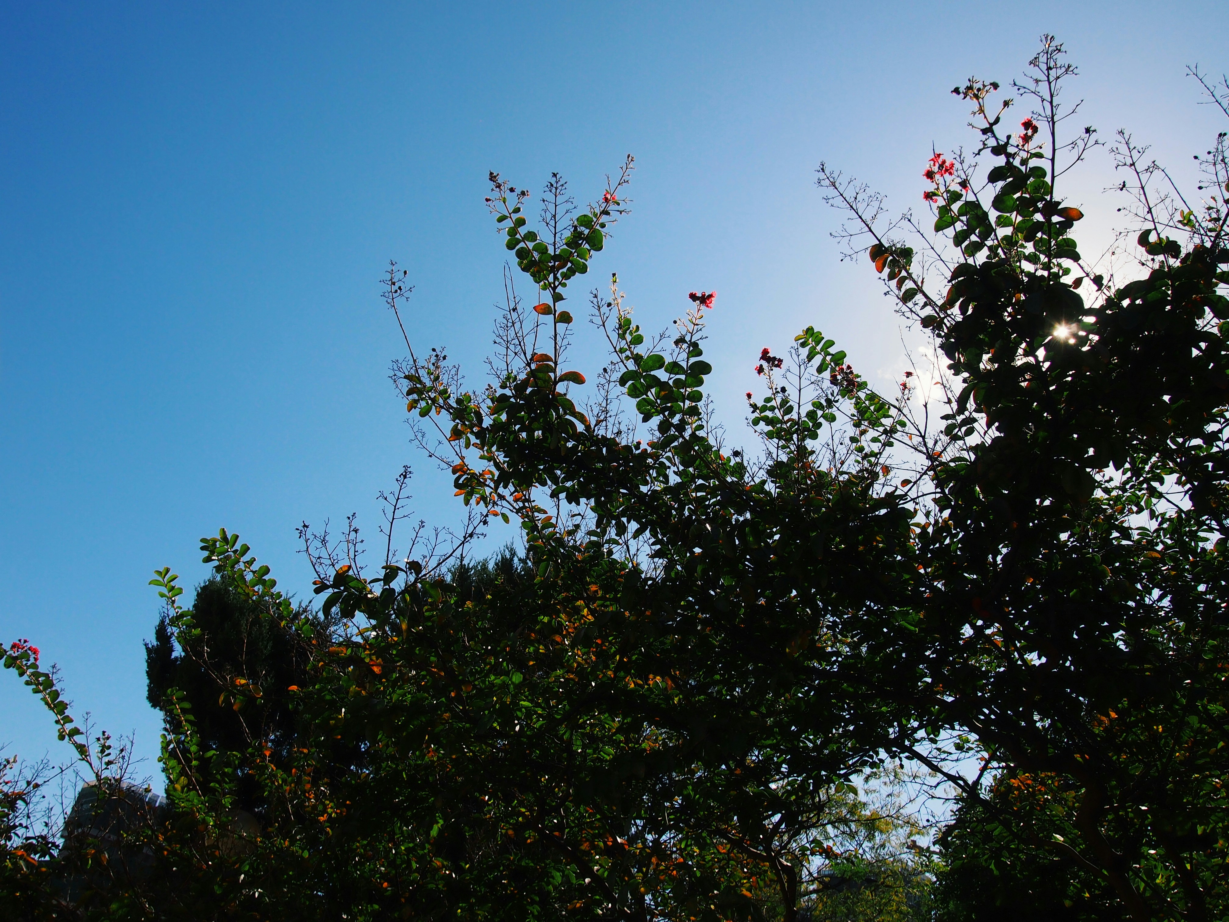 Free Unsplash photo from know mi rae