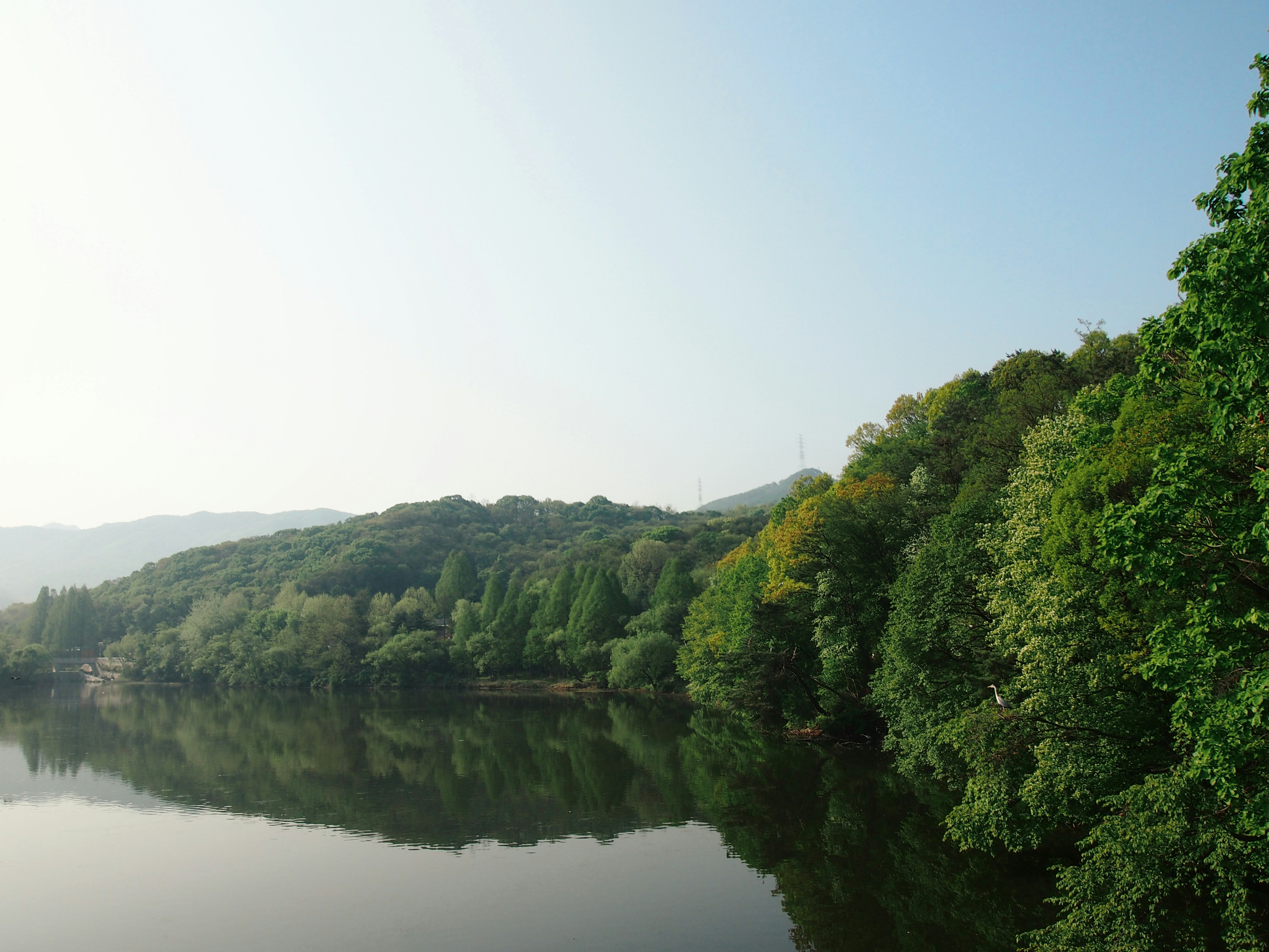 Free Unsplash photo from know mi rae