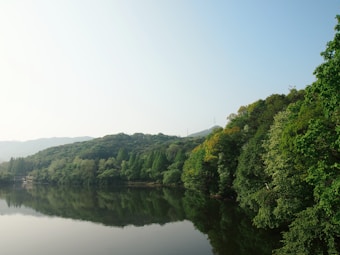 A serene landscape with a calm body of water reflecting a forested hillside covered in lush green trees. The sky is clear with a gentle gradient from light blue to pale, enhancing the peaceful atmosphere.
