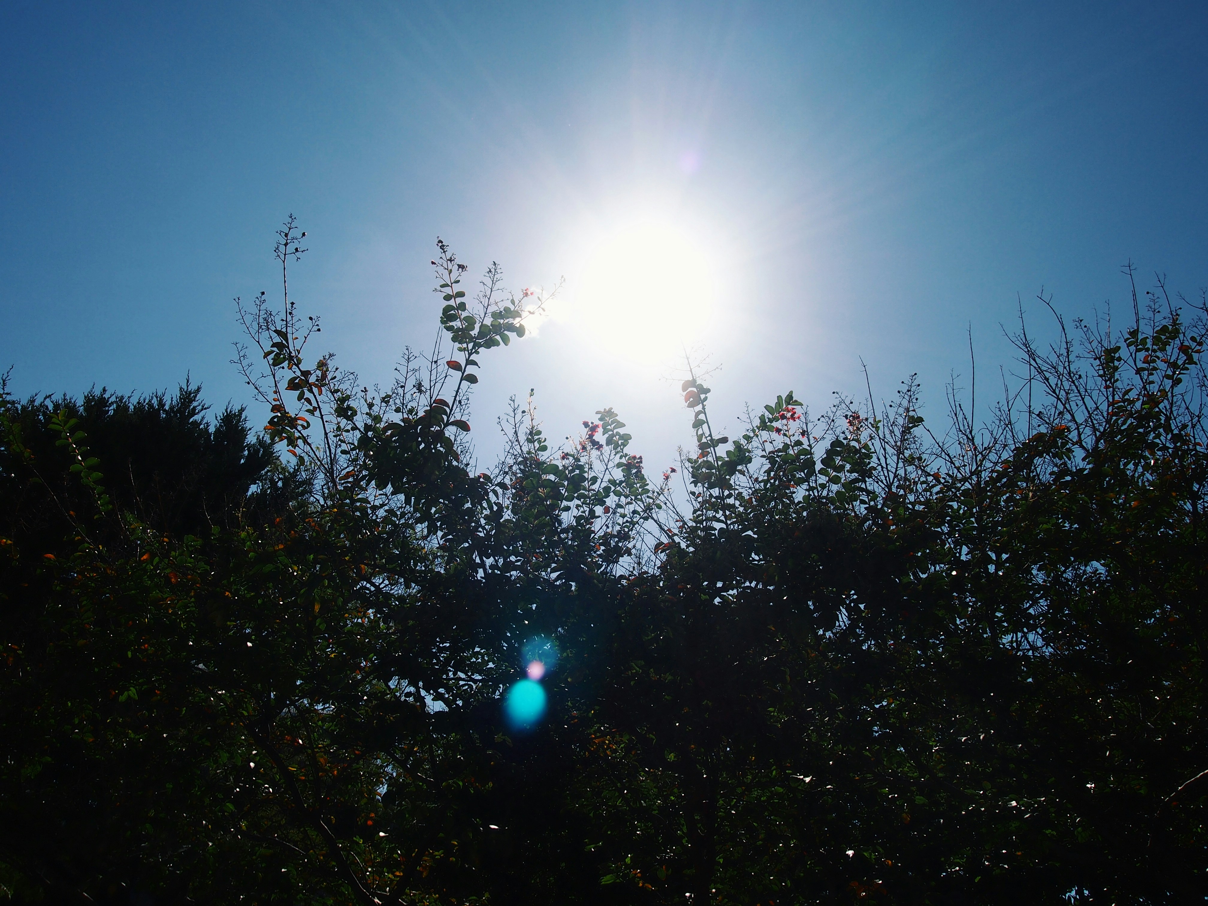 Free Unsplash photo from know mi rae